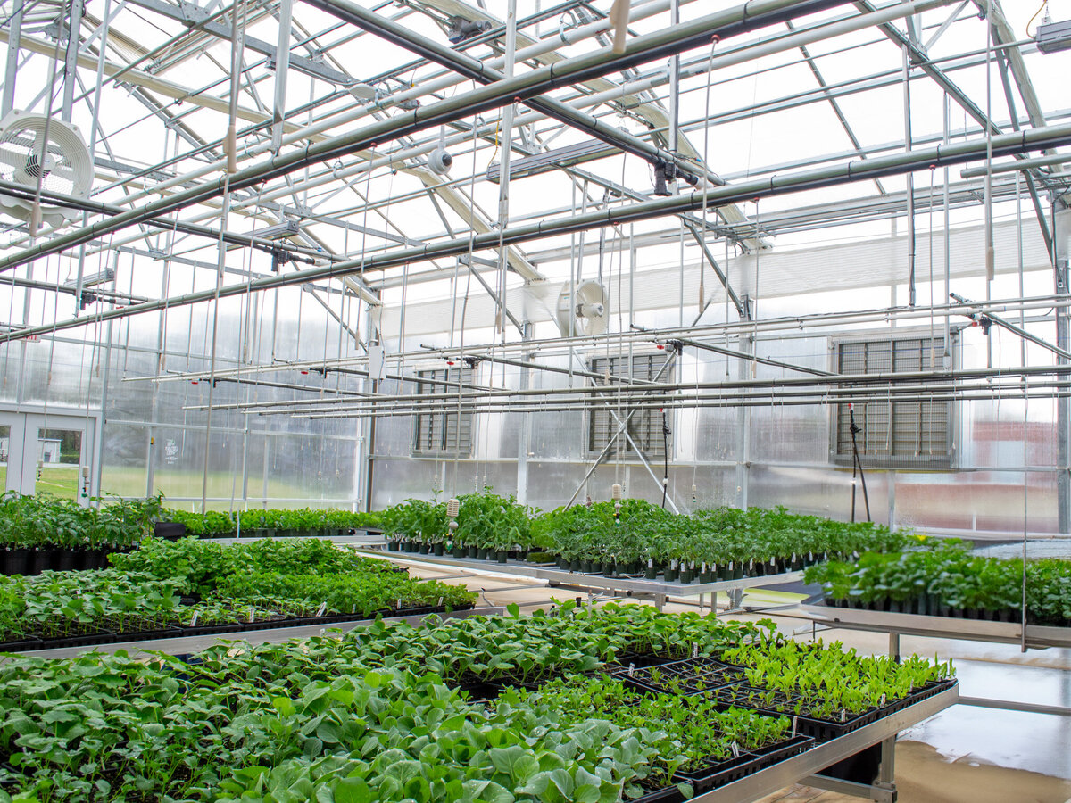 BRCC Greenhouse-06