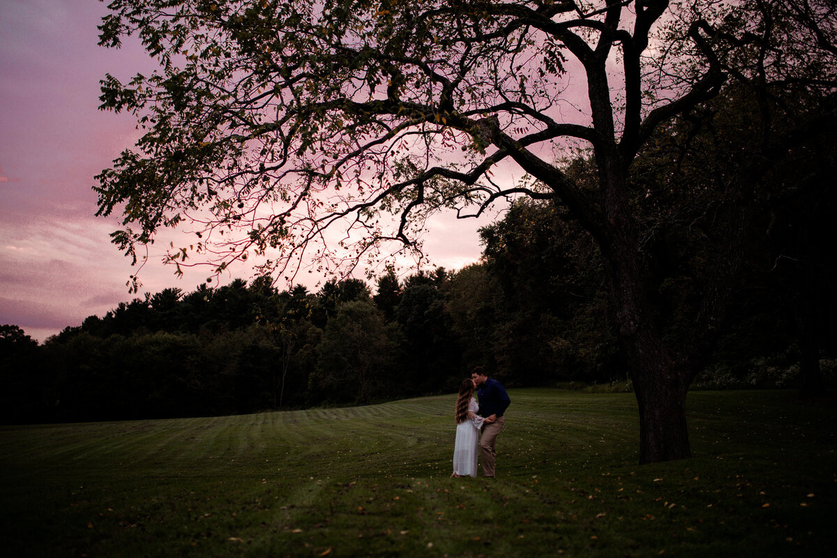 pittsburgh-engagement-hartwood-acres-stables