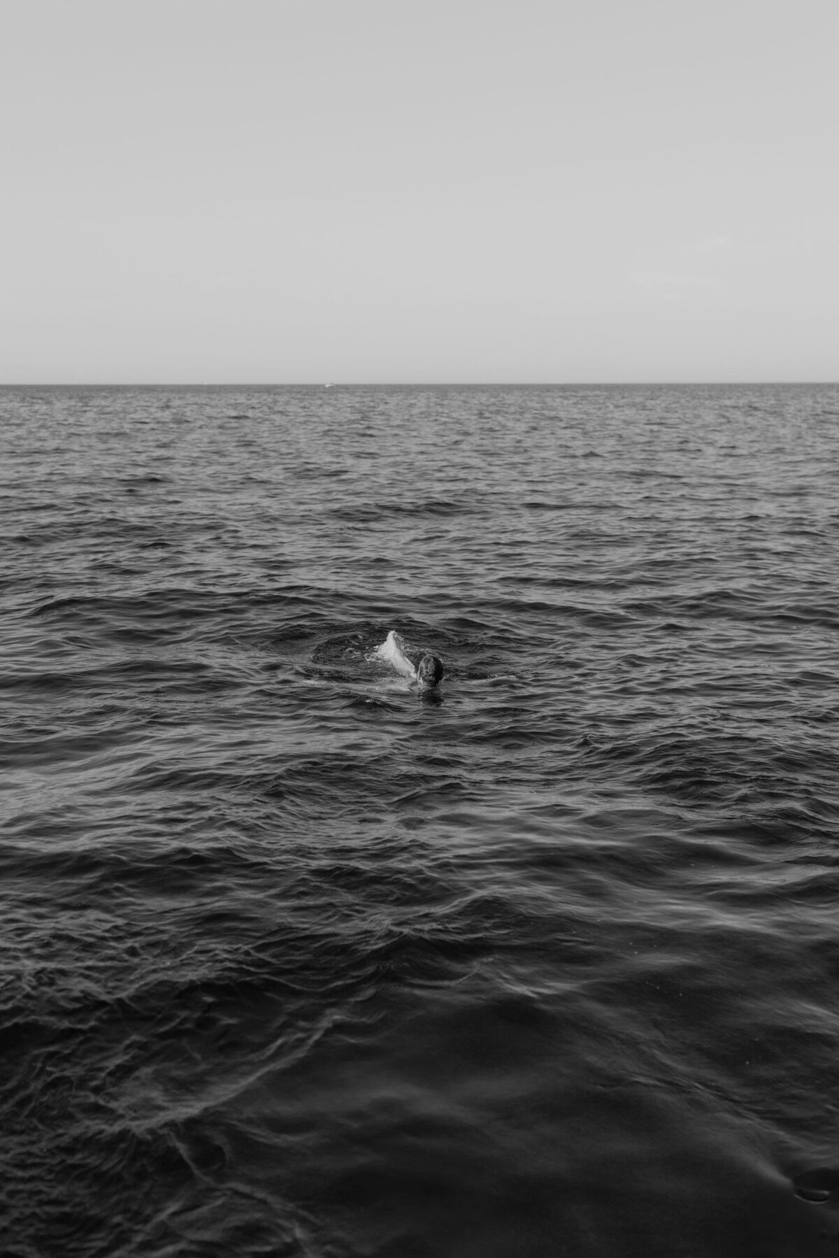 catalina-island-wedding-photographer.jpg-22