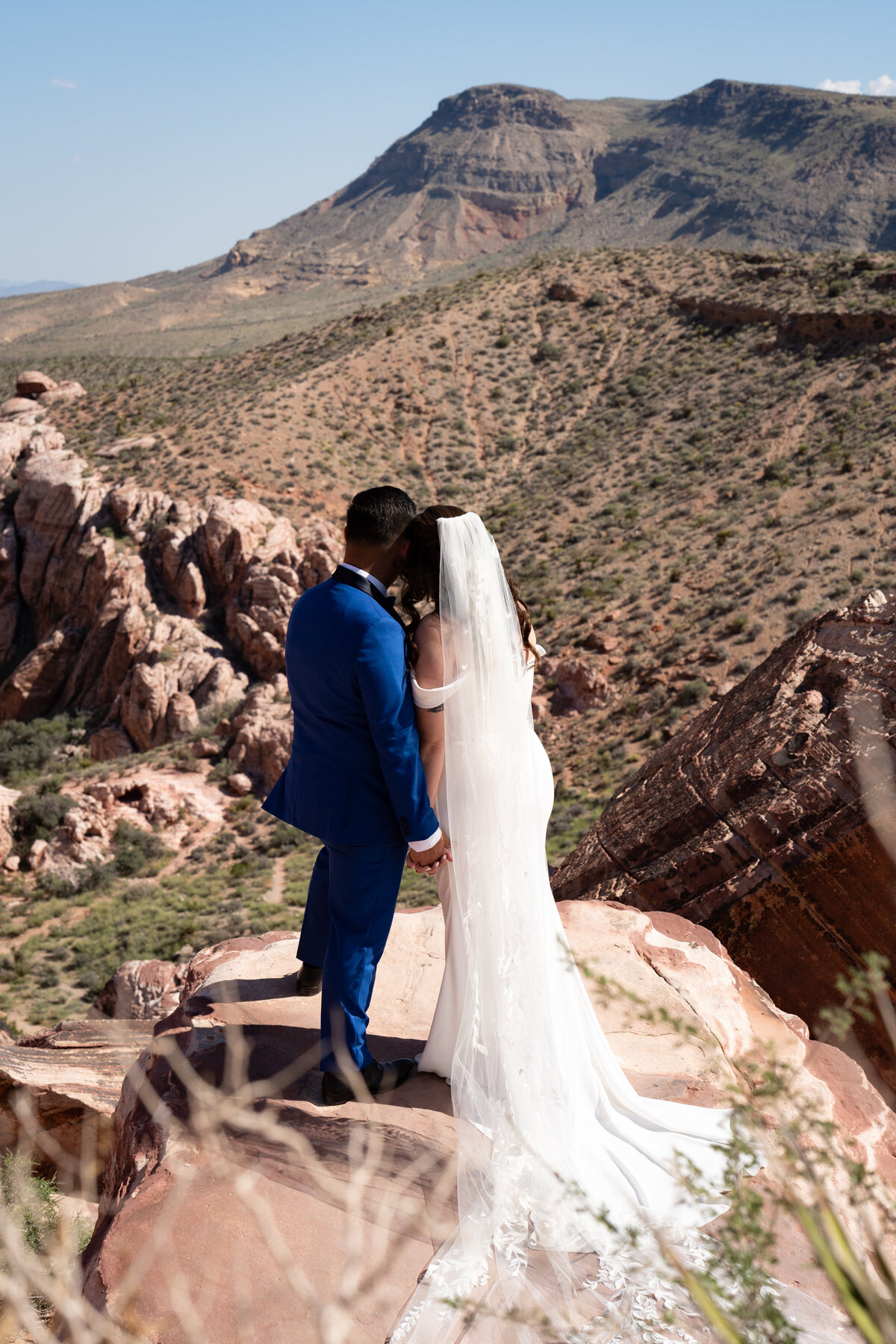 A newlywed couple looking out over a canyon