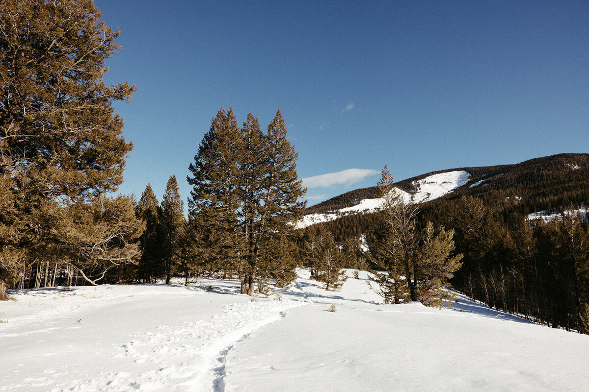 JacksonHole-DallinHassard-0536