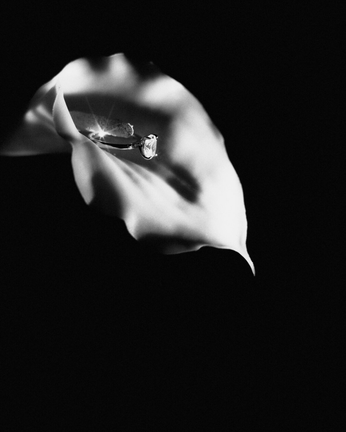 WhispersOfTheGardenFilm-105