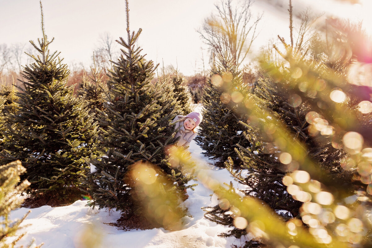 christmas-tree-farm-photos-cedarhill005