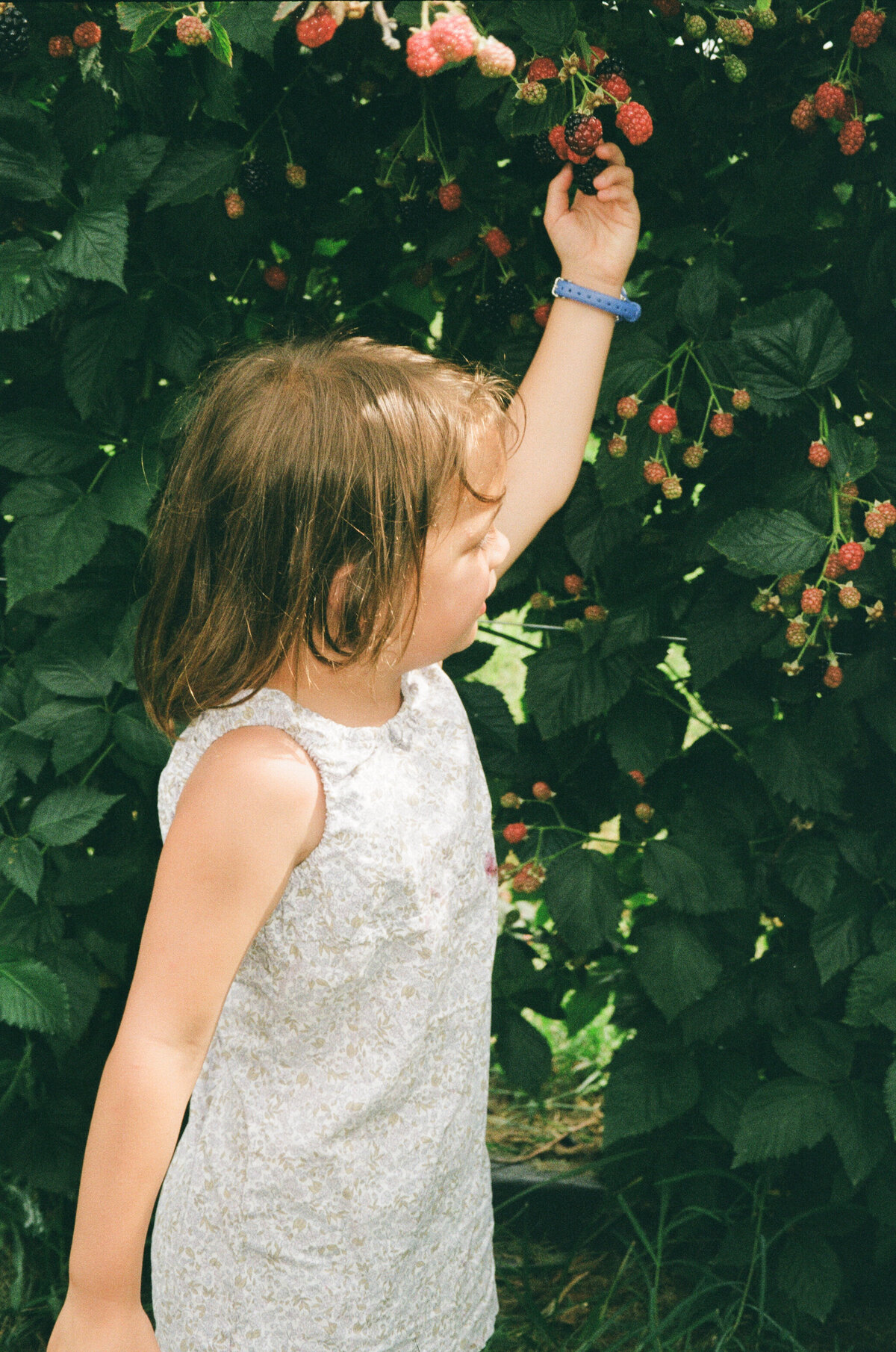 columbia-mo-35mm-film-family-session-documentary-led00003