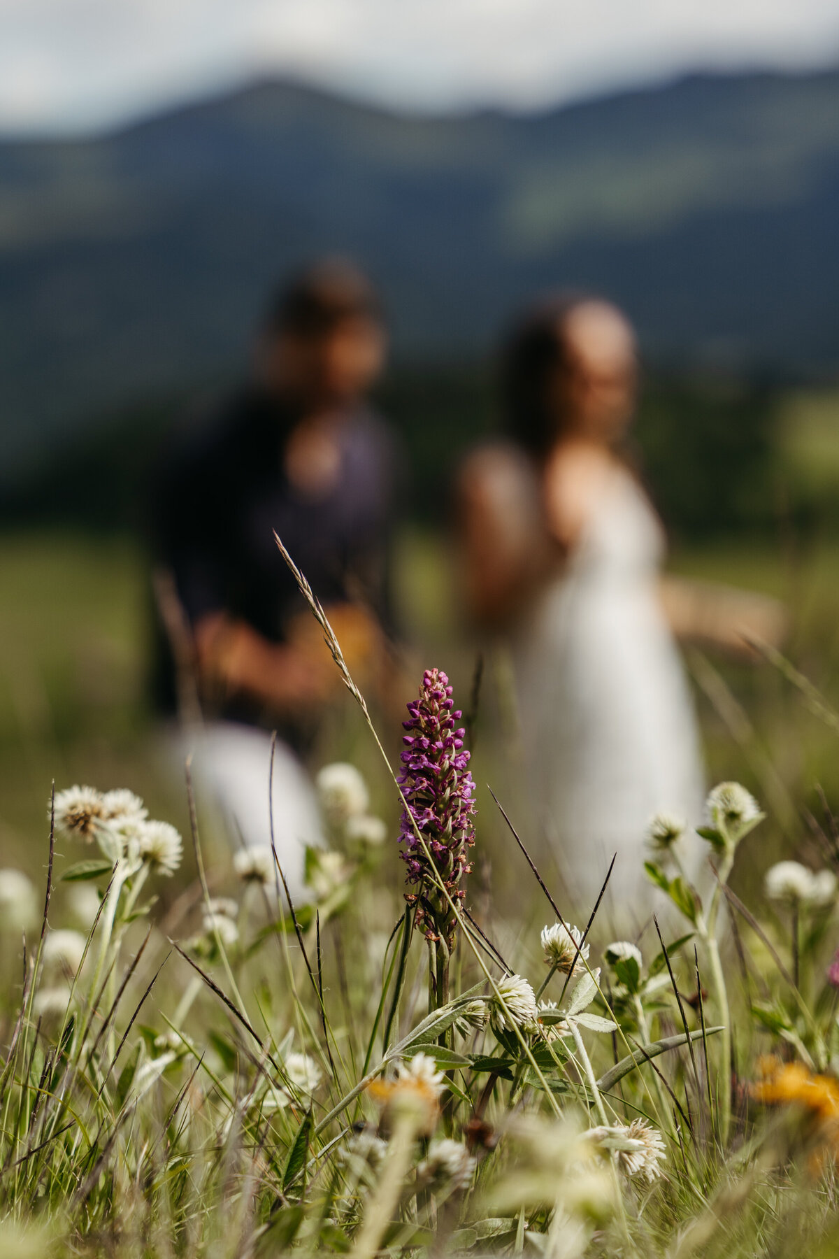 Intimate couple in Scenic Dolomites peaks Alpe di Siusi