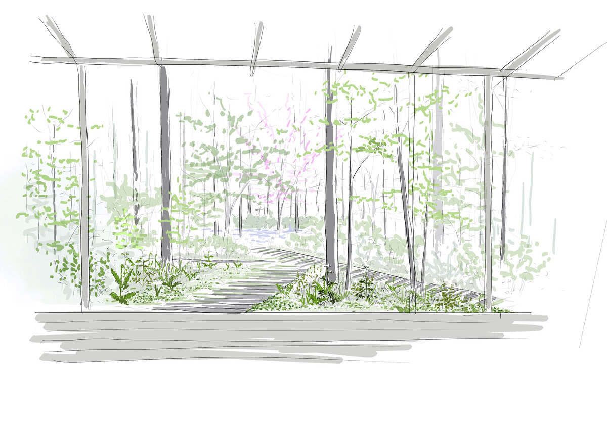 Sketch of a terrace overlooking a wooded area