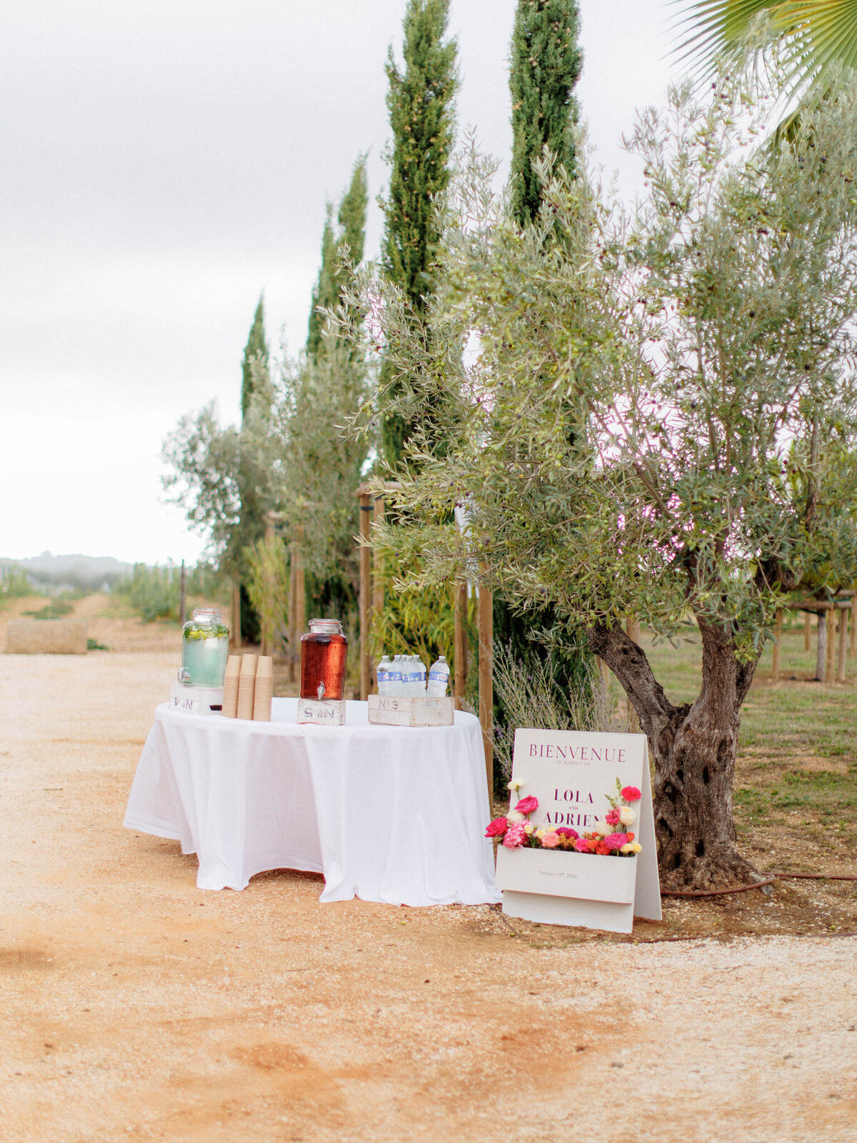Château Hermitage de Combas Wedding Planner 7