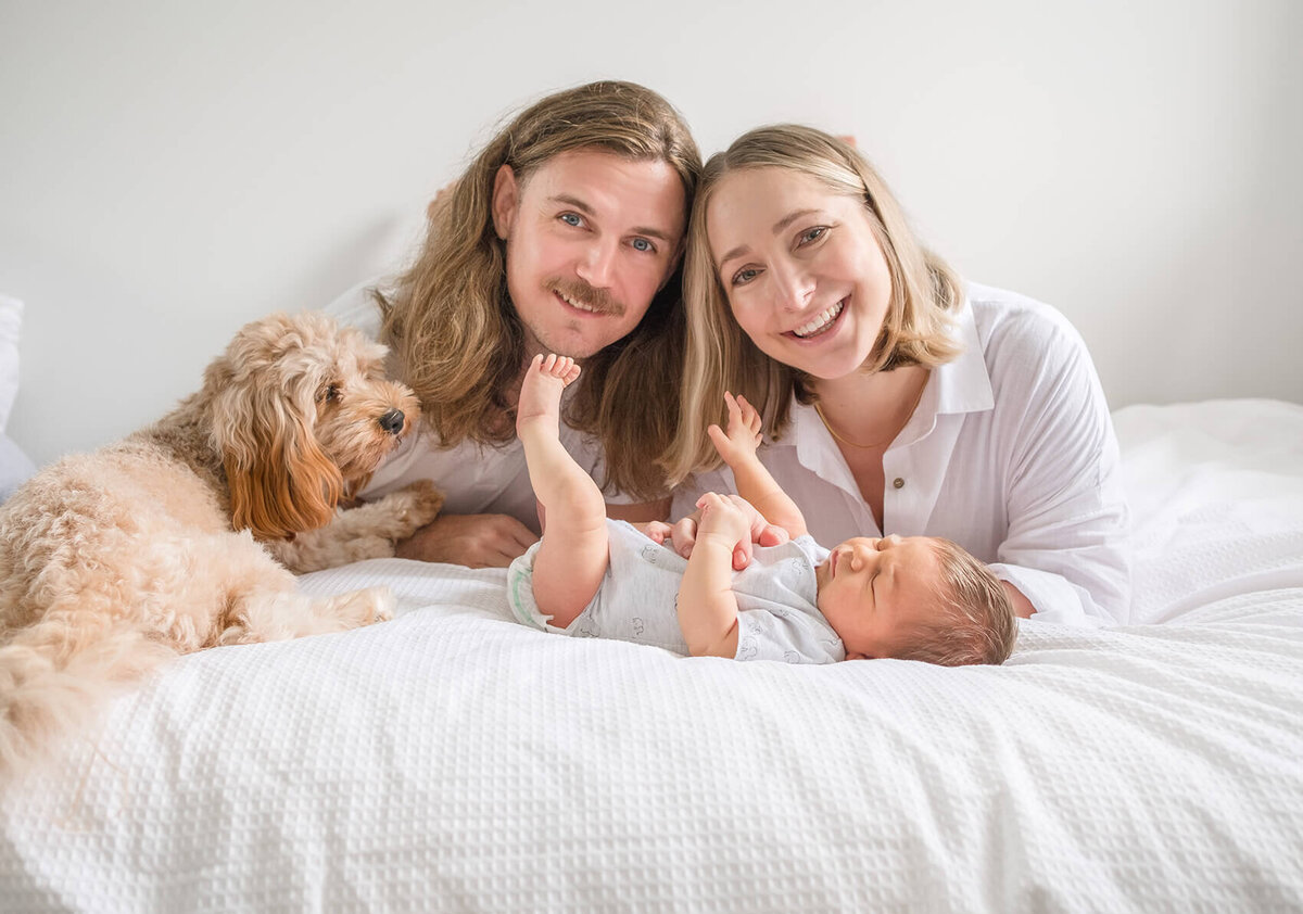 Poodle pet being cuddly during newborn maternity photos taken in Gold Coast by Hikari photography