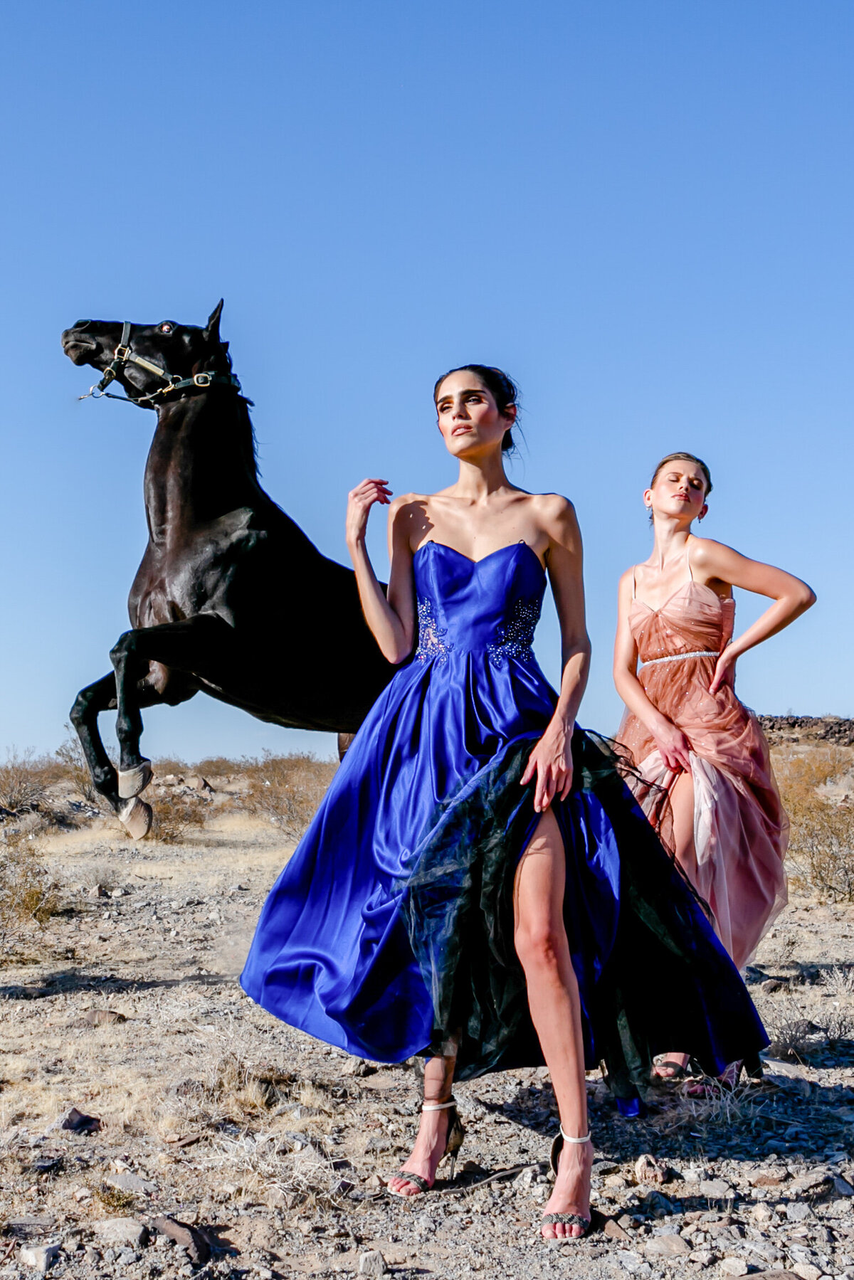 Las Vegas Desert Fashion-1