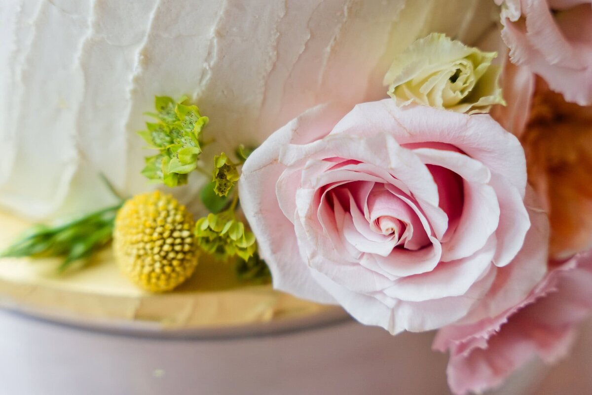 Elli-Row-Photography-Swan-House-Wedding02935