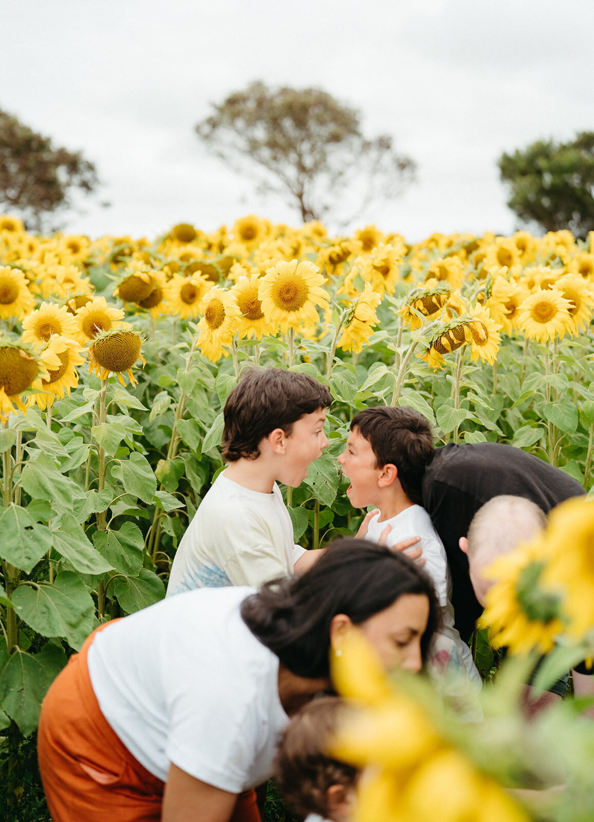 Geelong-surf-coast-sunflowers-family-photo-session-Bobby-Dazzler-Photography-18