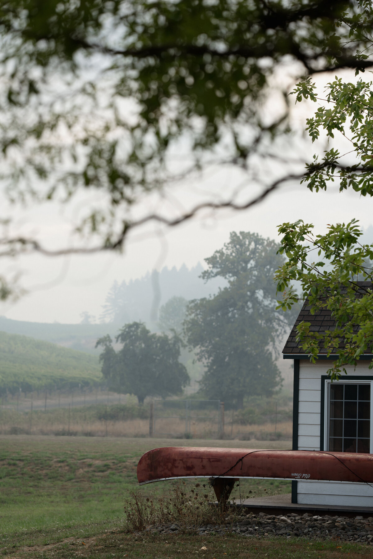 Central-Oregon-Vineyard-Wedding-12