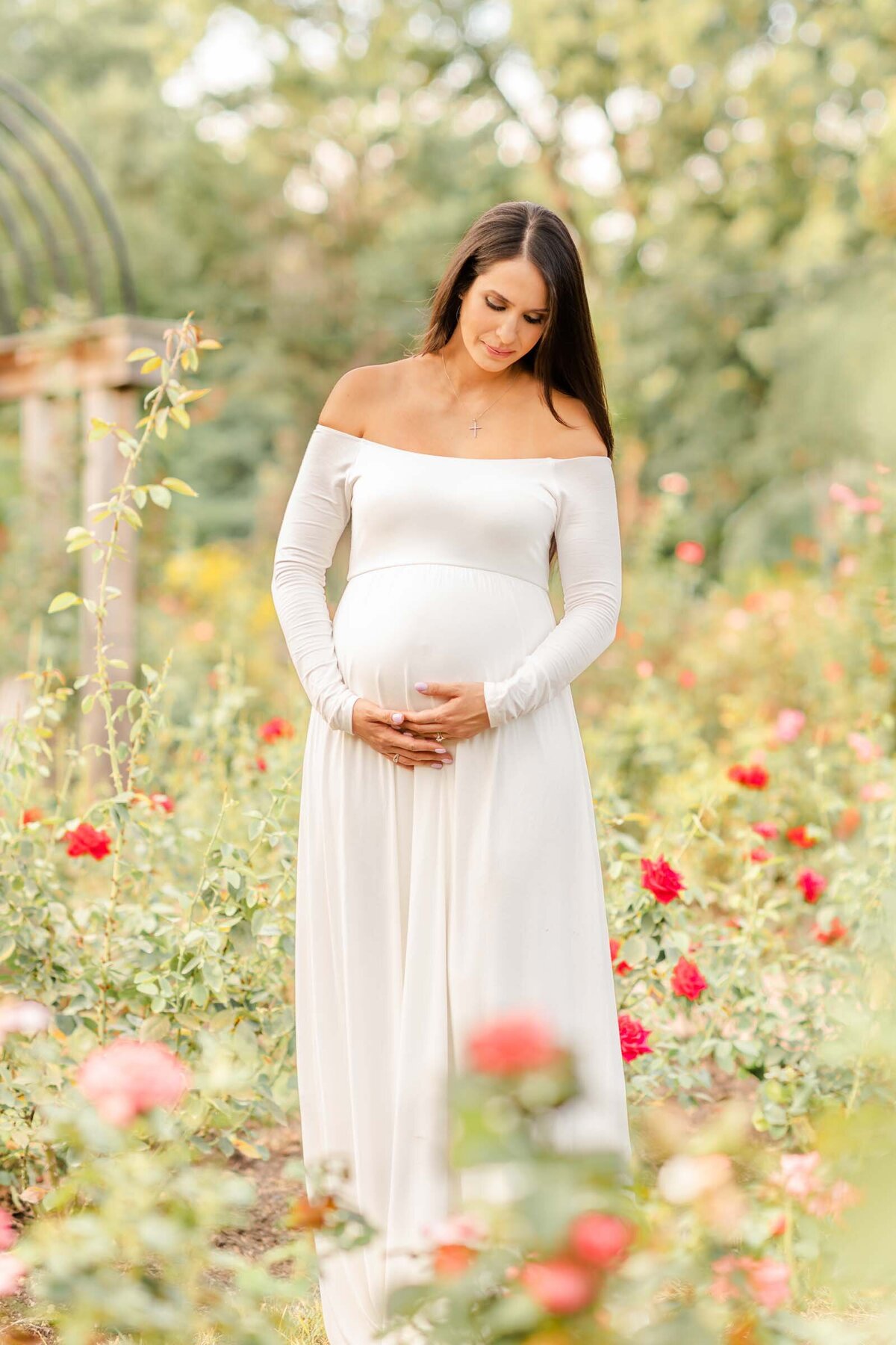 Arlington Va Maternity Photographer - Heidi Fam Photography