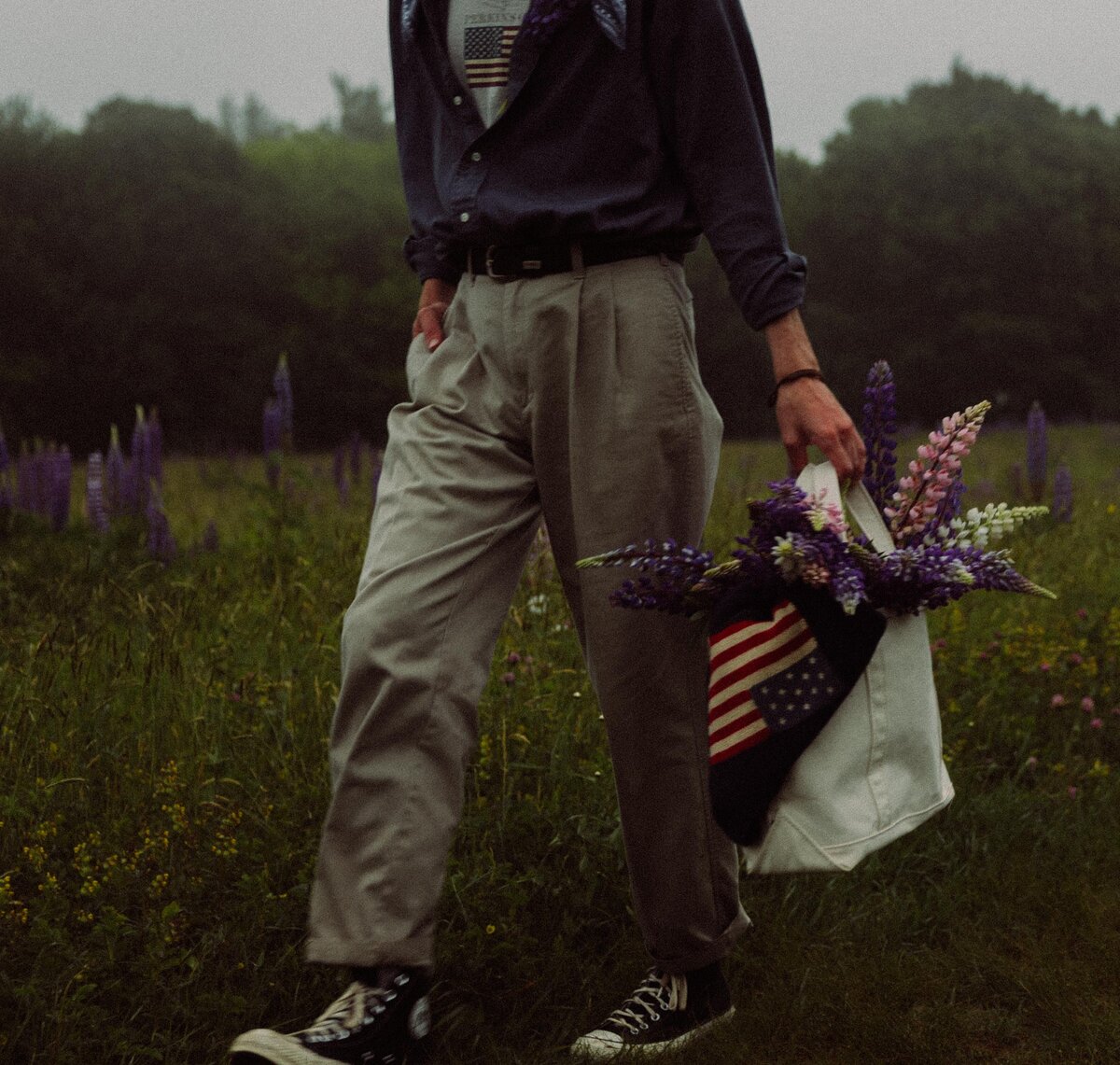 Viewing Lupines in Maine