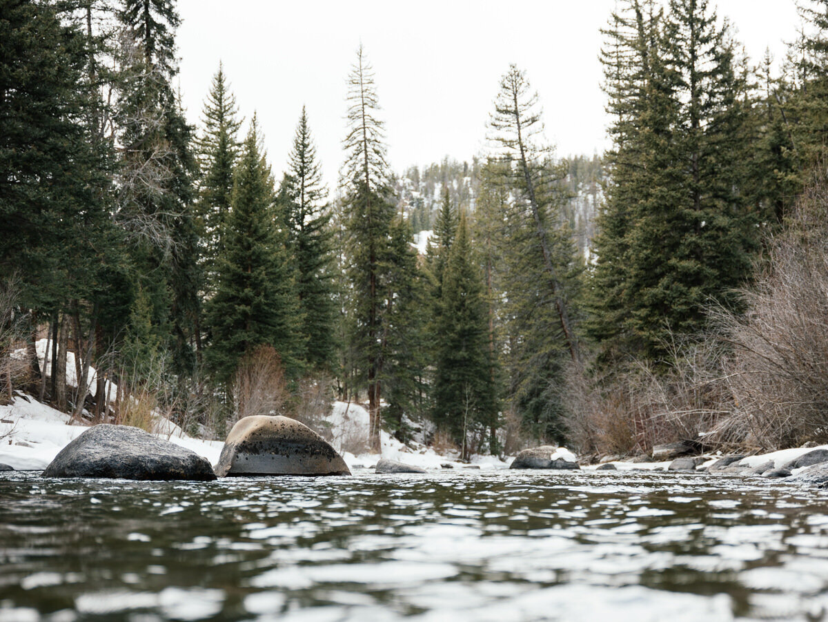 leila-brewster-photography-crested-butte-0338