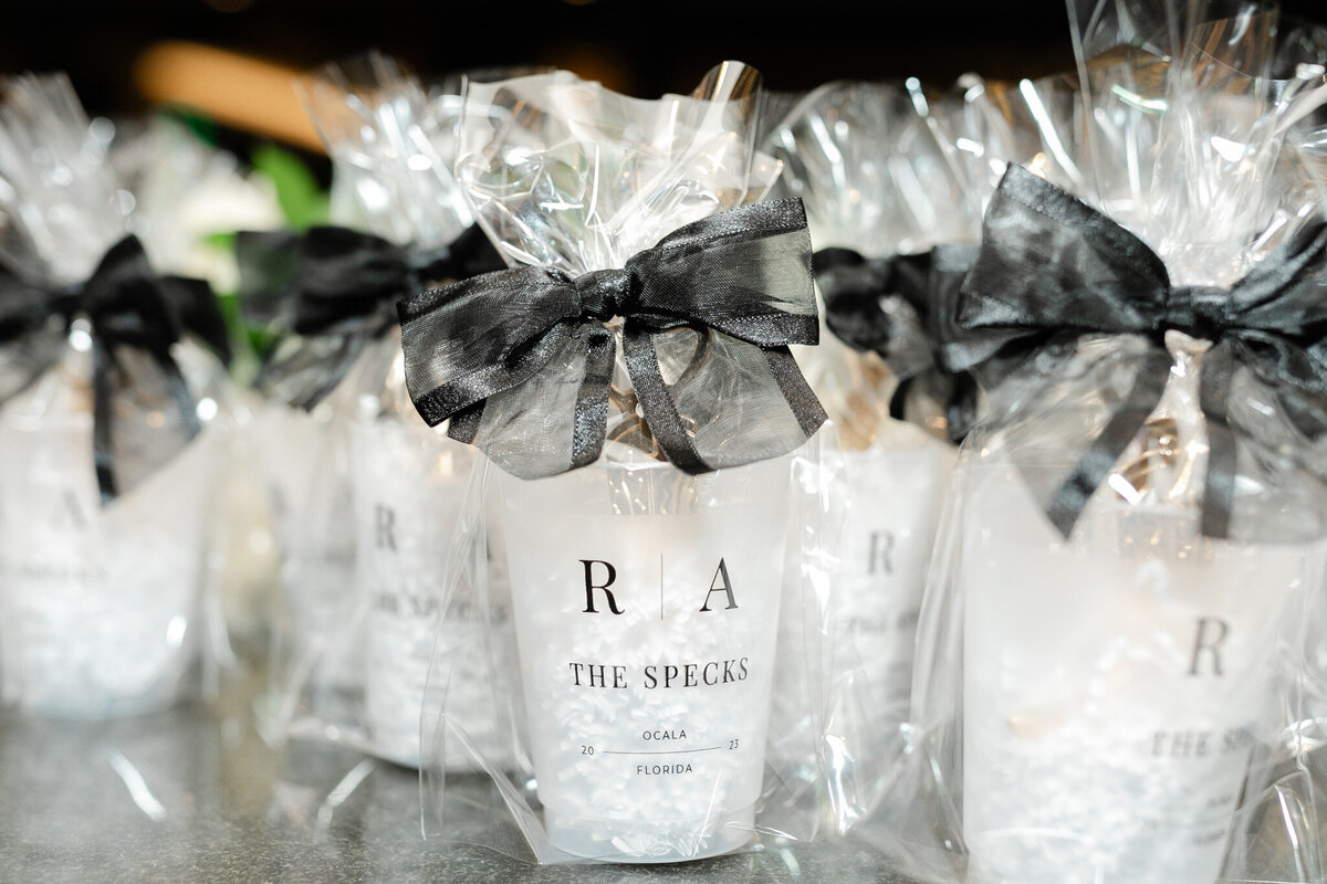 World Equestrian Center, Ocala, FL Wedding