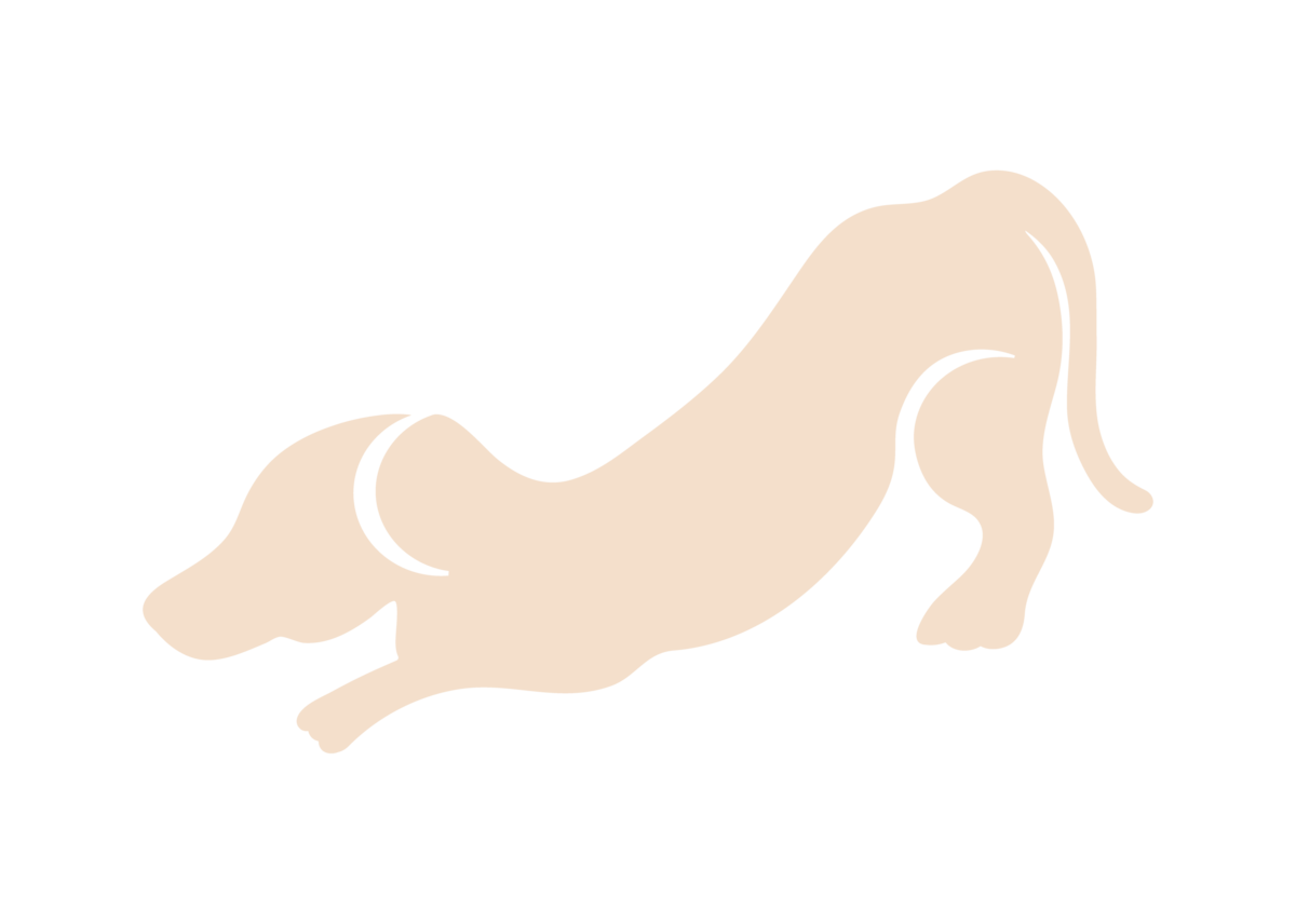 Alex Paige Yoga dog icon