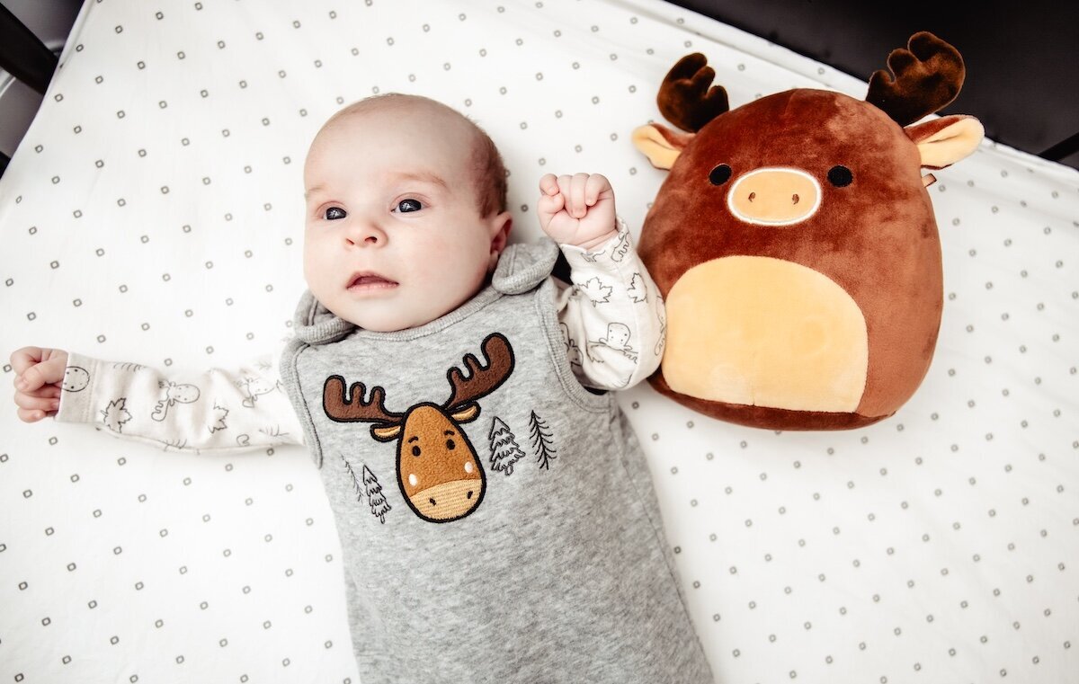 A newborn baby girl wearing a moose outfit is laying next to a moose stuffed animal