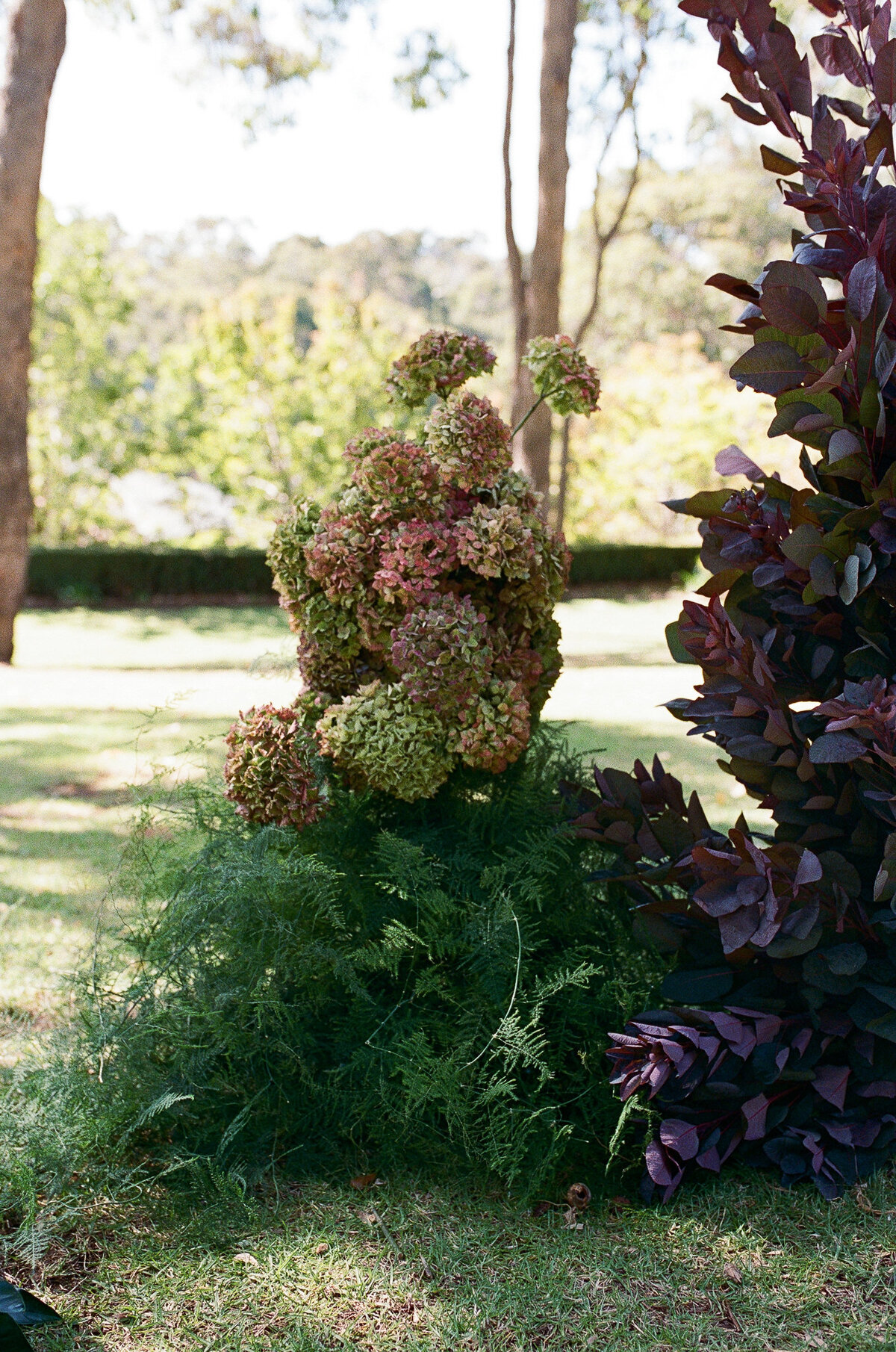 Film B&L-19