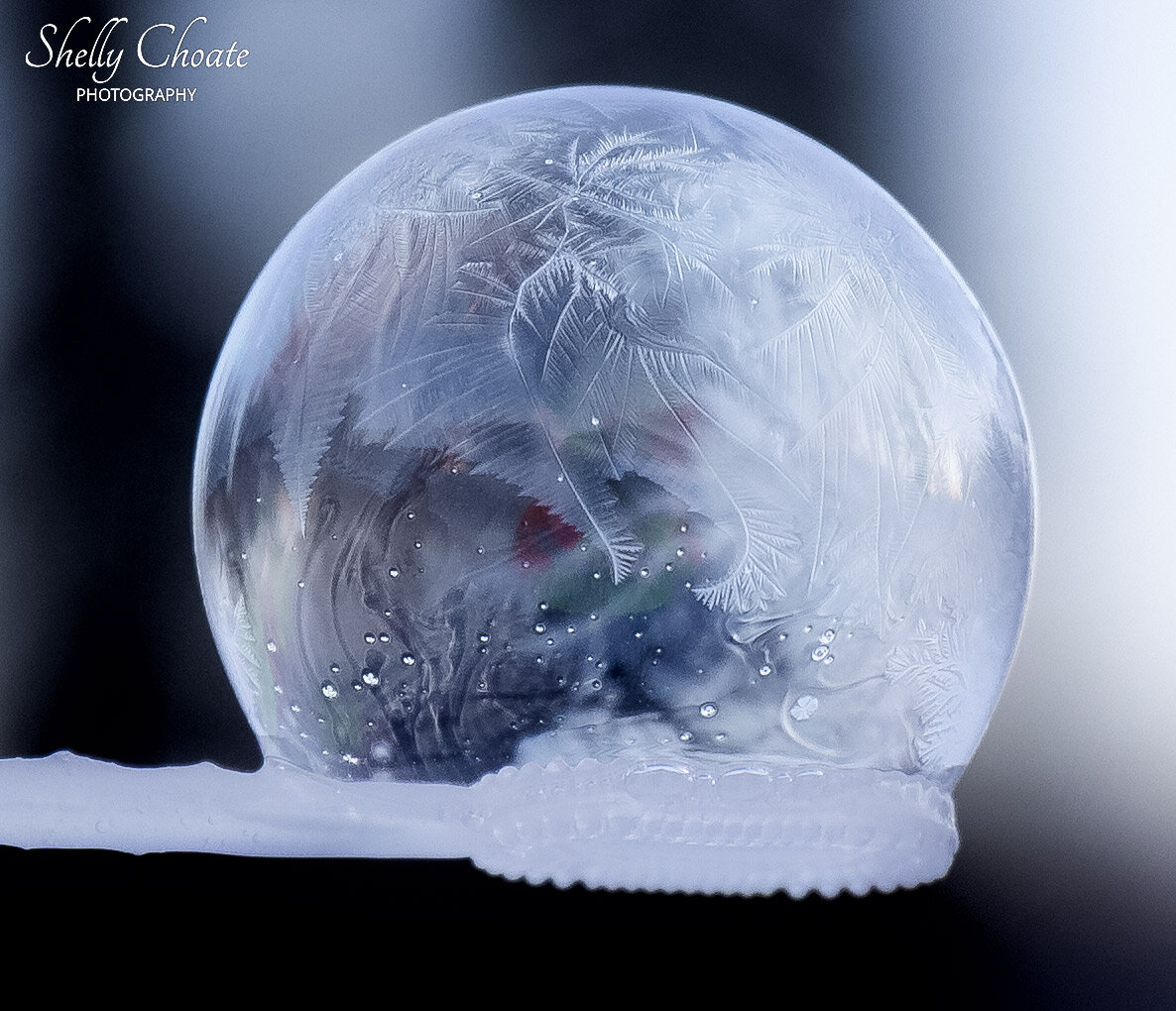 Bubble