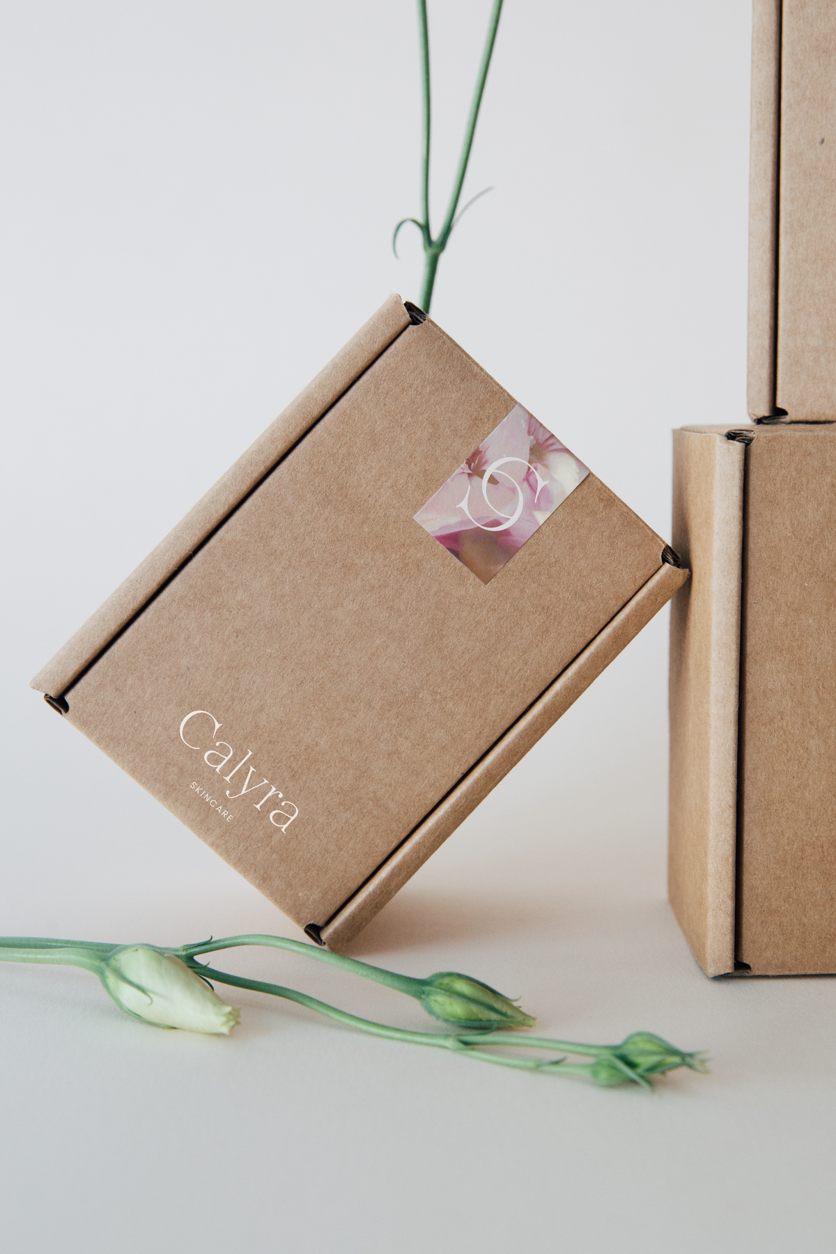 4-Rebecca-Berrington-Kraft-Mailer-Mockups-03