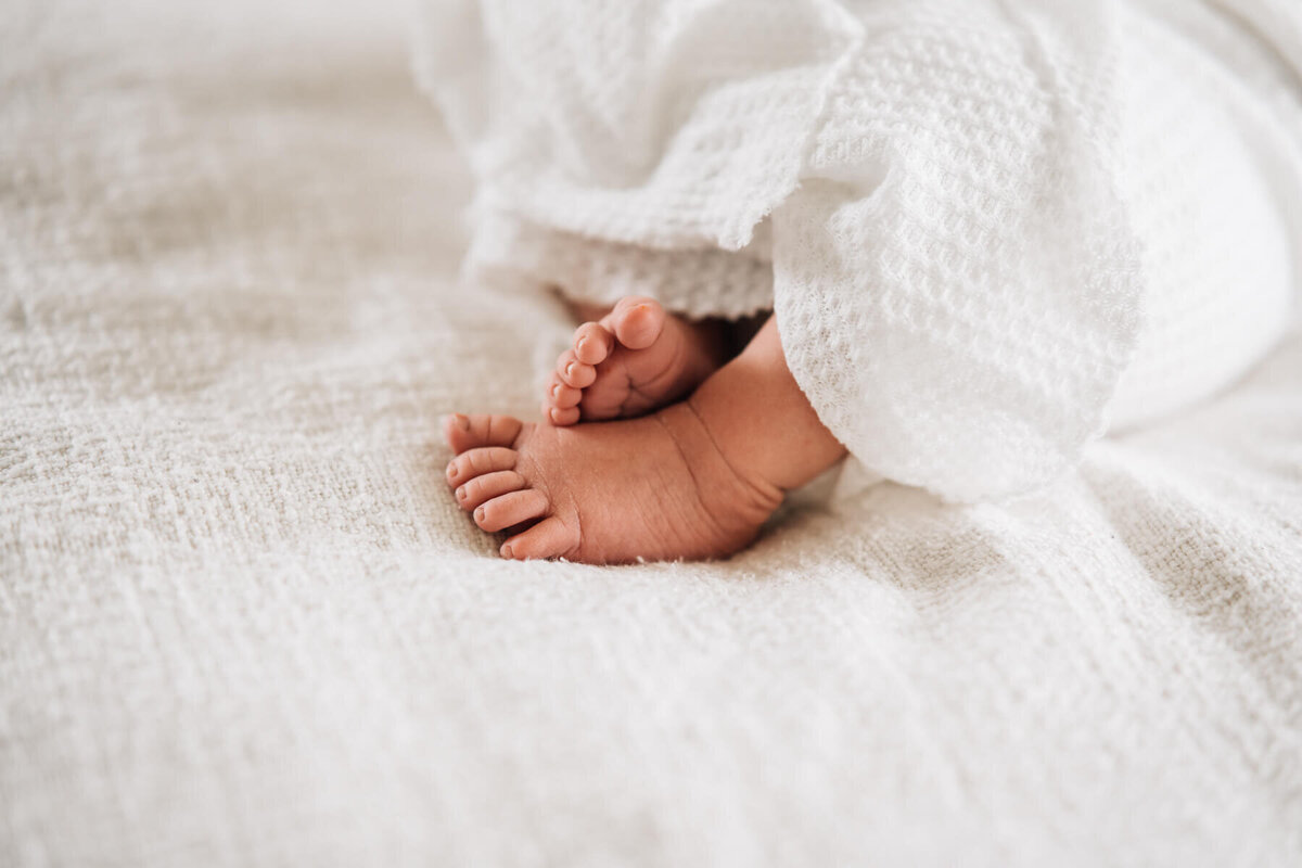 A close up photograph of a newborn baby's toes that have broken free from the swaddle during a photoshoot.