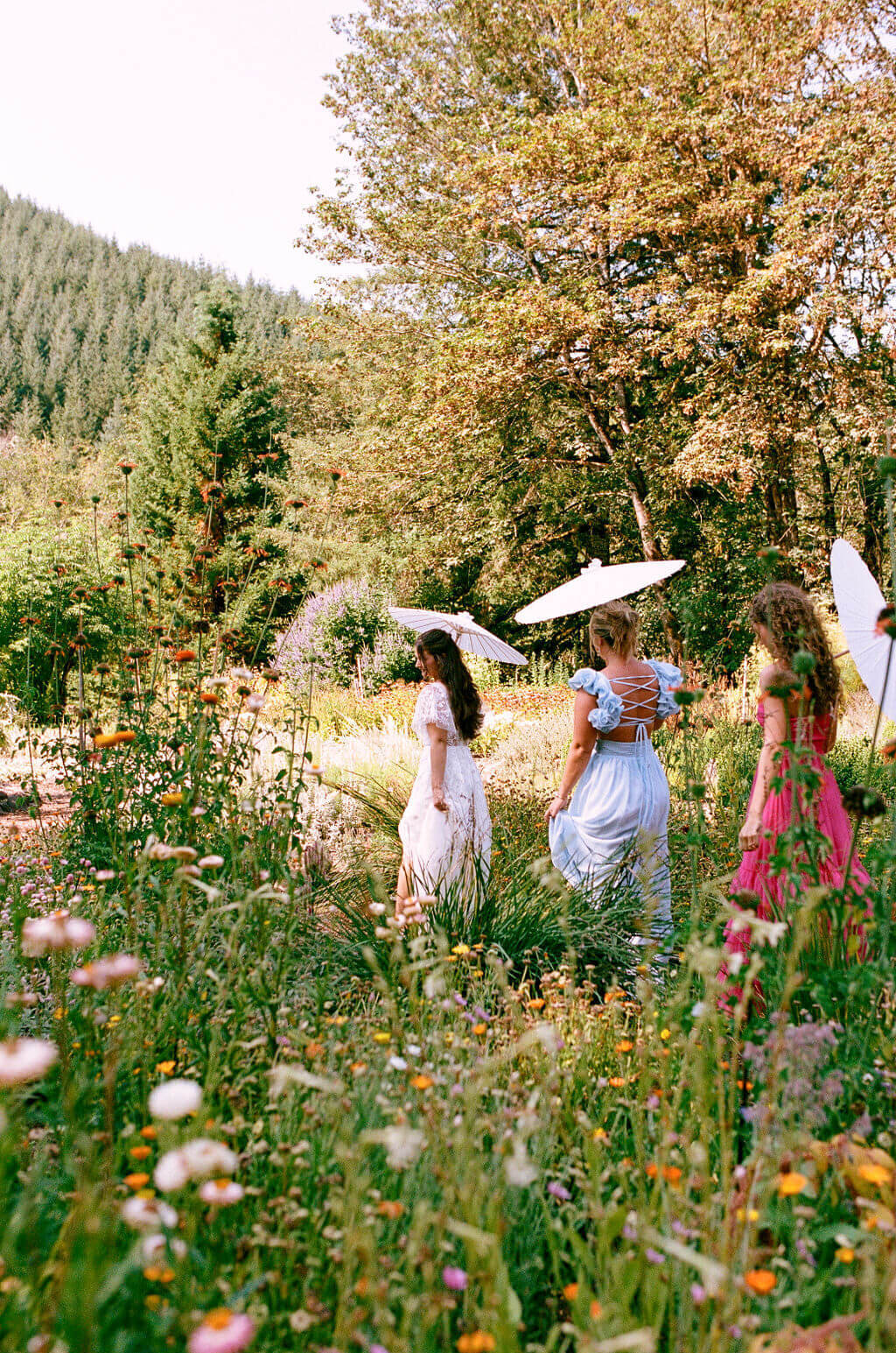 A bridal party walks outdoors in a garden holding vintage white umbrellas at the Thyme Garden wedding venue.