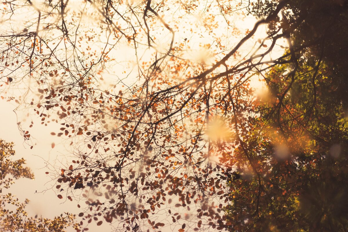 ehud-neuhaus-v9afA-or1IM-unsplash
