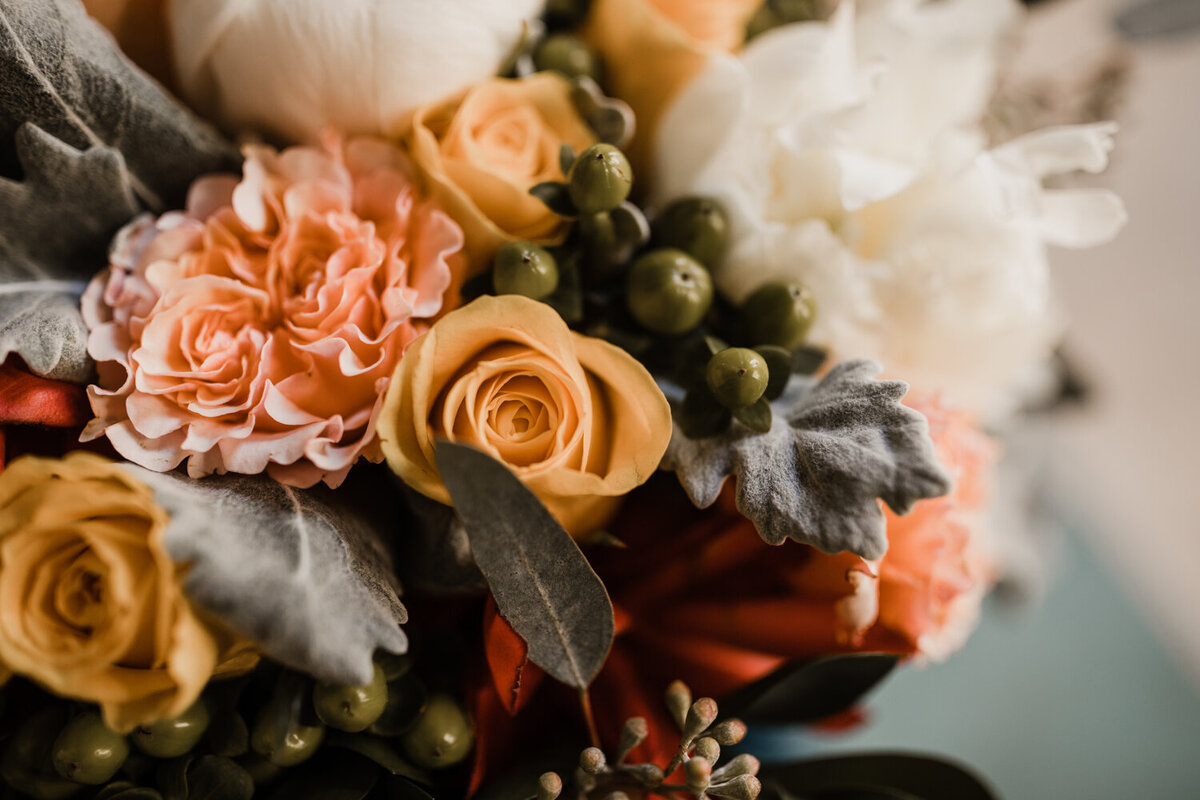 barbaraOphotography-12-06-19-64