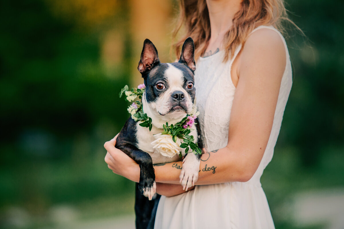 bride-wedding-dress-with-her-dog-pet-friendly-wedding