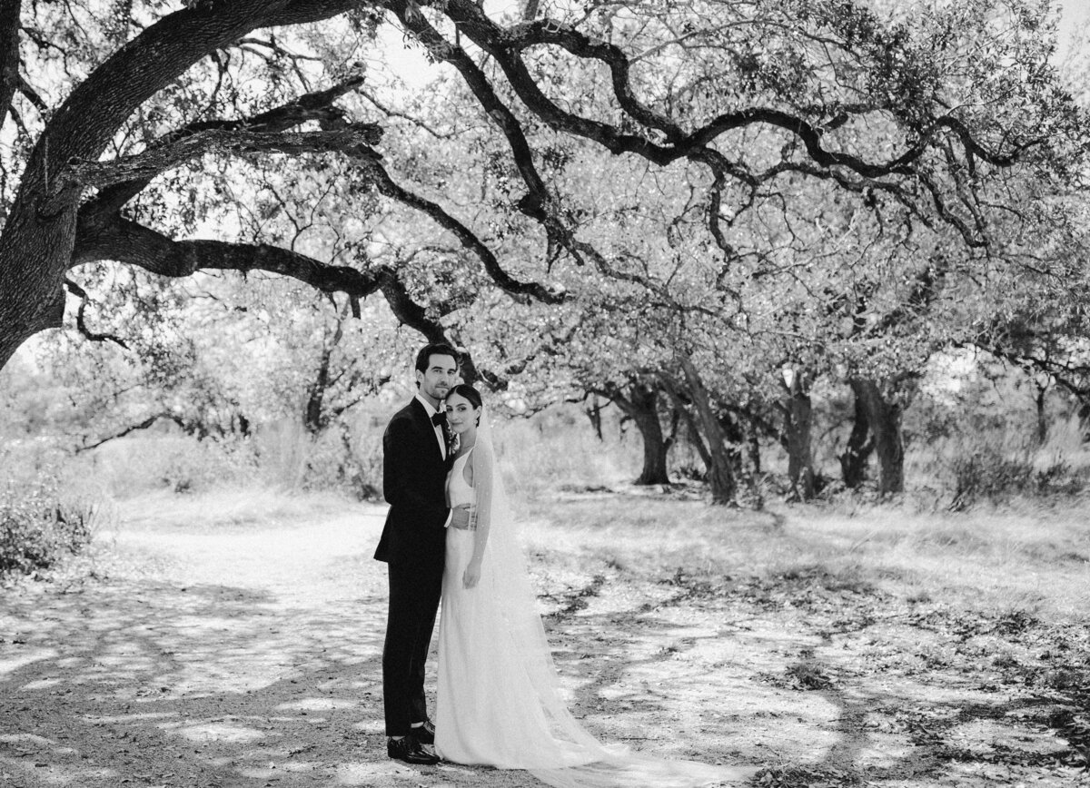 Couple portrait beneath a tree at at Prospect House, Austin
