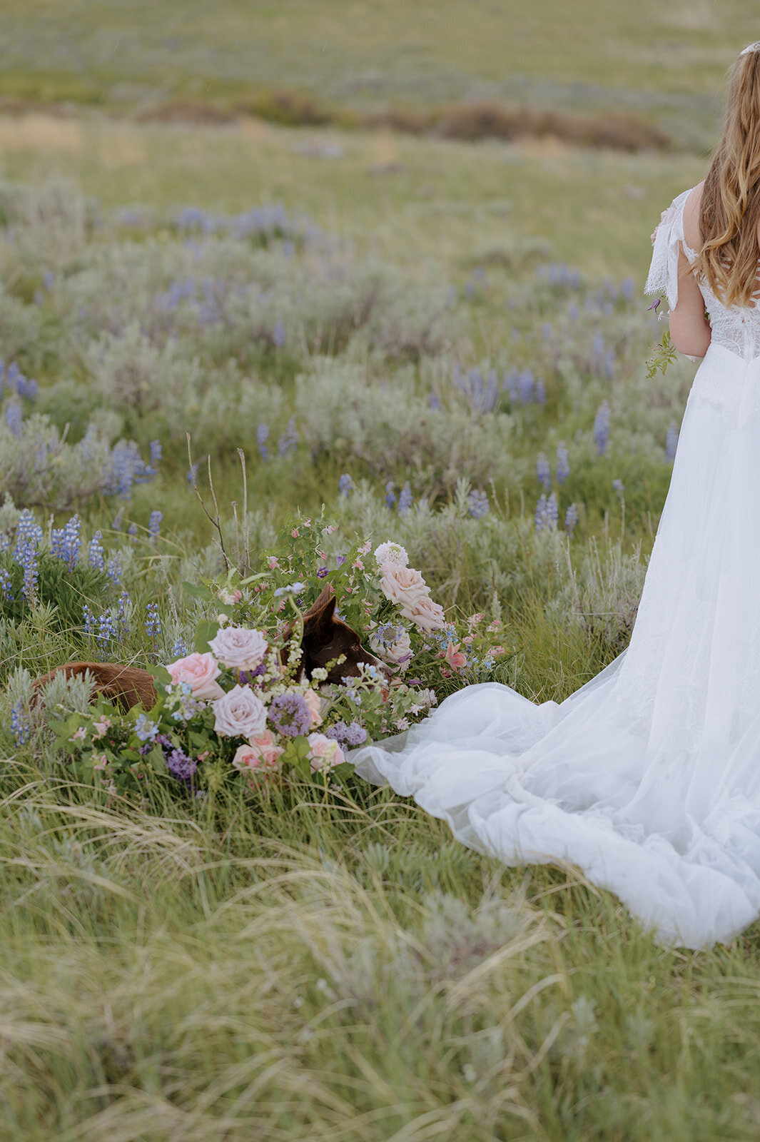 Carly-Patrick-Sheridan-Wyoming-Elopement-053