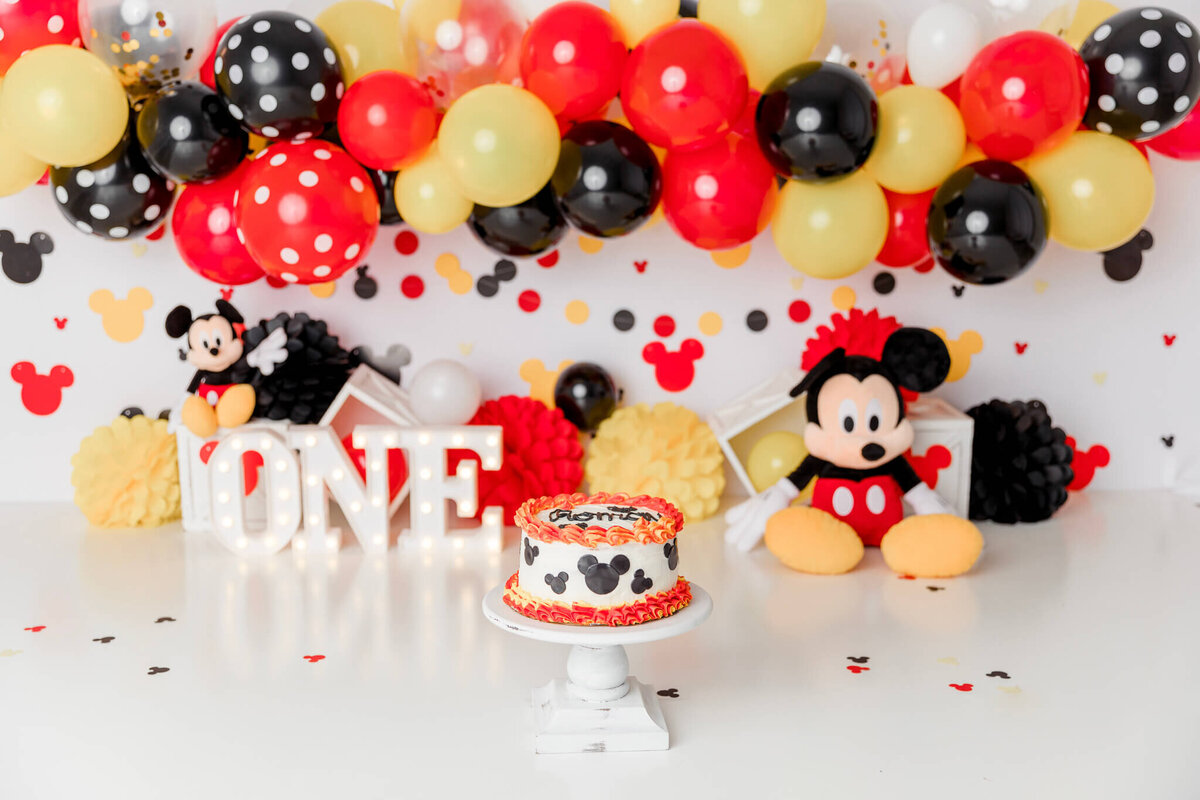new-jersey-smash-cake-photographer-5