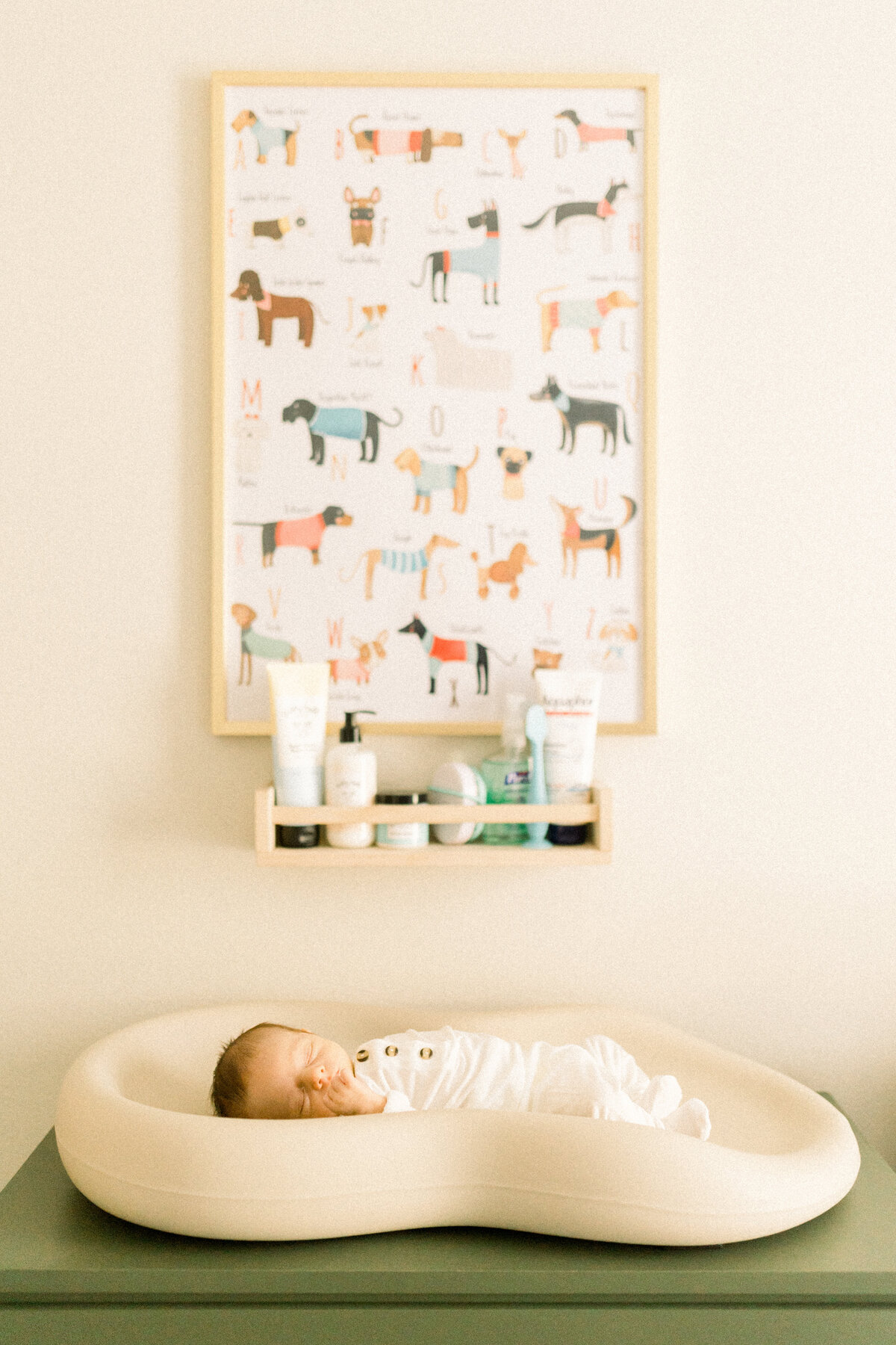 The Schnorr Family | Sacramento Lifestyle Session-44