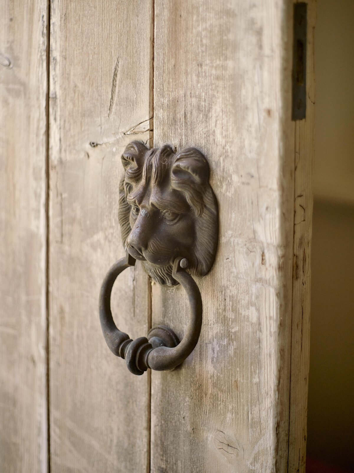 Antique cotswold door with lion knocker