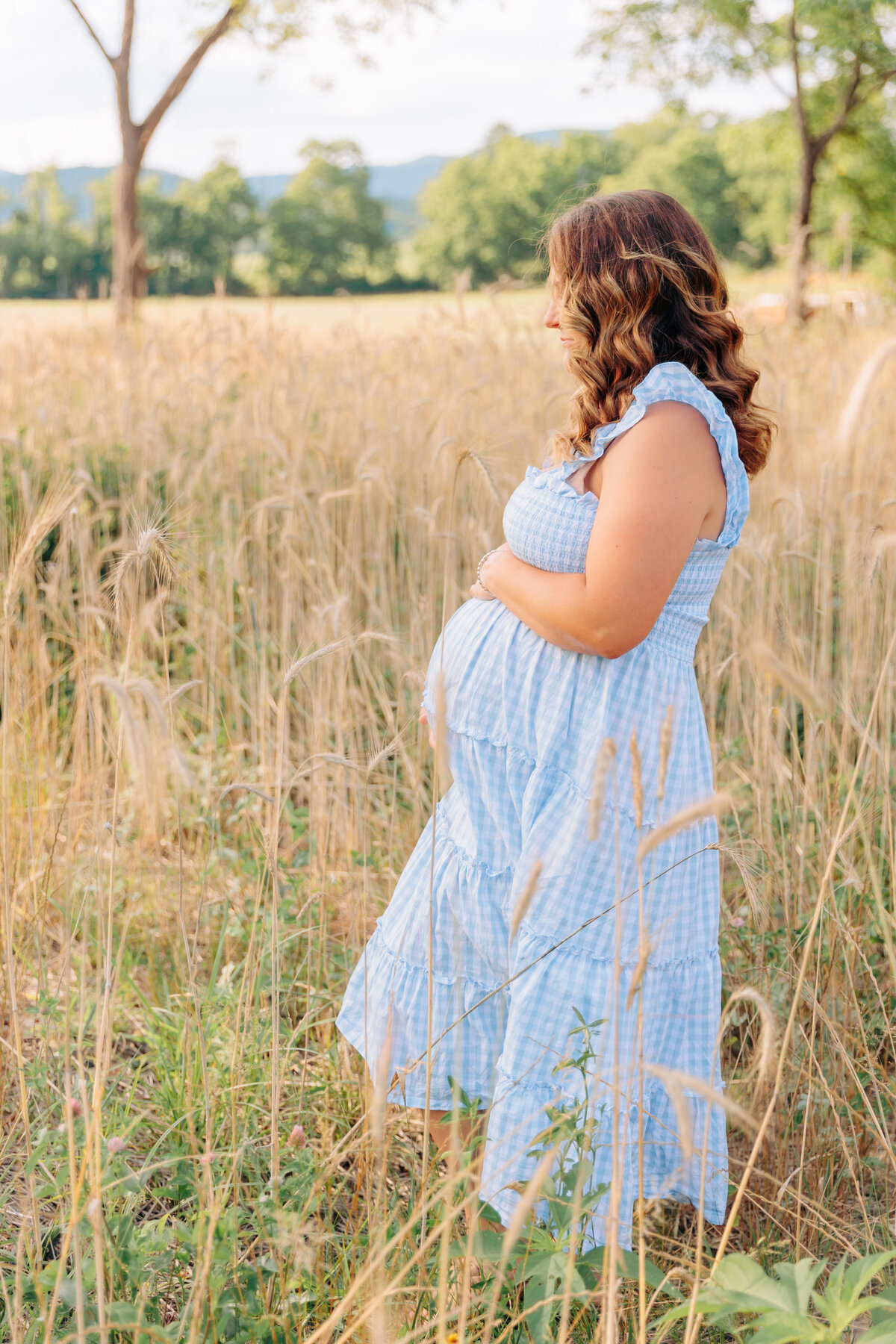 Outdoor Family Maternity photo session photographed by Asheville Maternity and Newborn Photographer Rachel Marie Photography