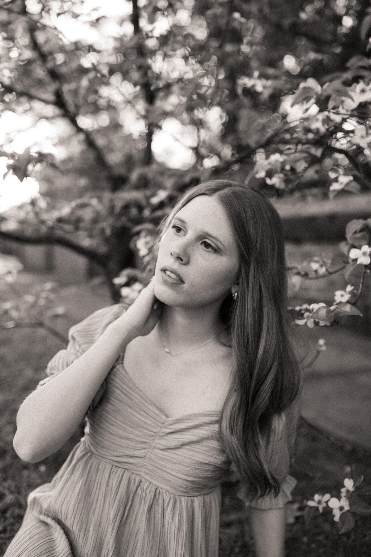 Girl senior looking off dramatically as she sits surrounded by blooming tree branches