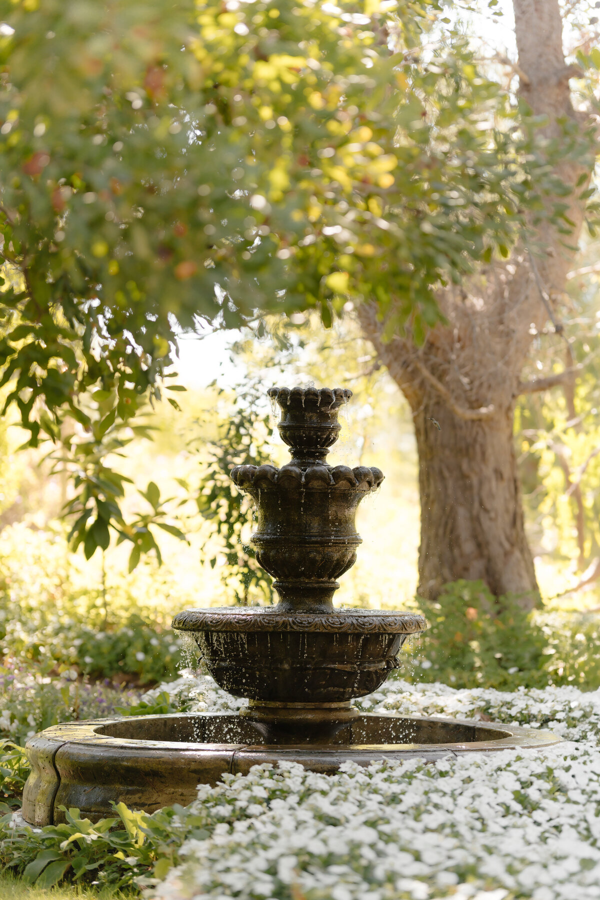 ethereal gardens wedding 4