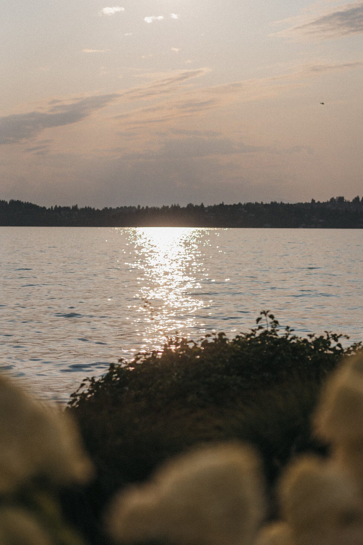 sjb-sarah-jane-bradley-photography-east-coast-wedding-photographer-245