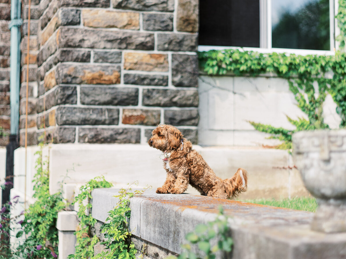 NY Private Estate Wedding Katherine&Davis Kylee Yee-303