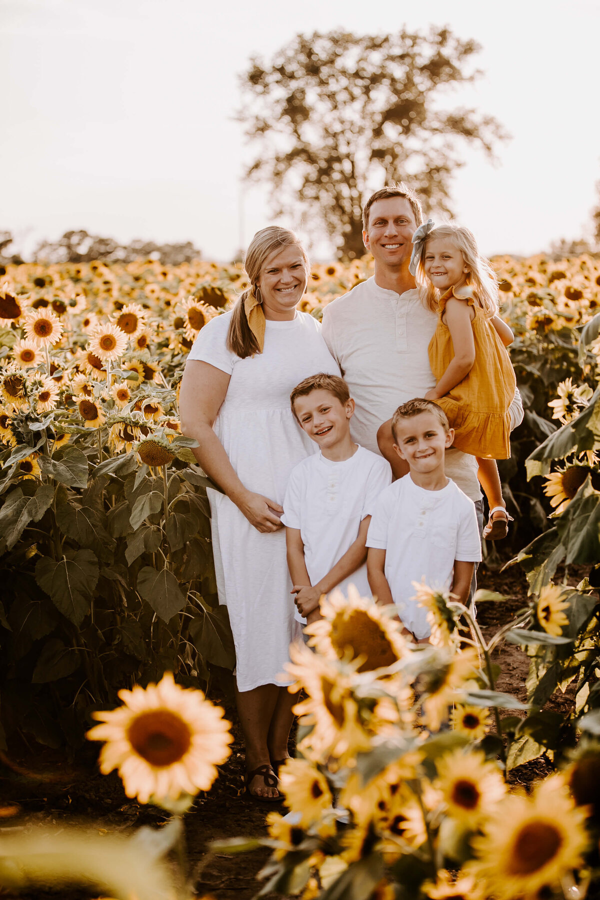 Sunflower-Field-Mini-Session-Family-Photography-Woodbury-Minnesota-Sigrid-Dabelstein-Photography-Thompson