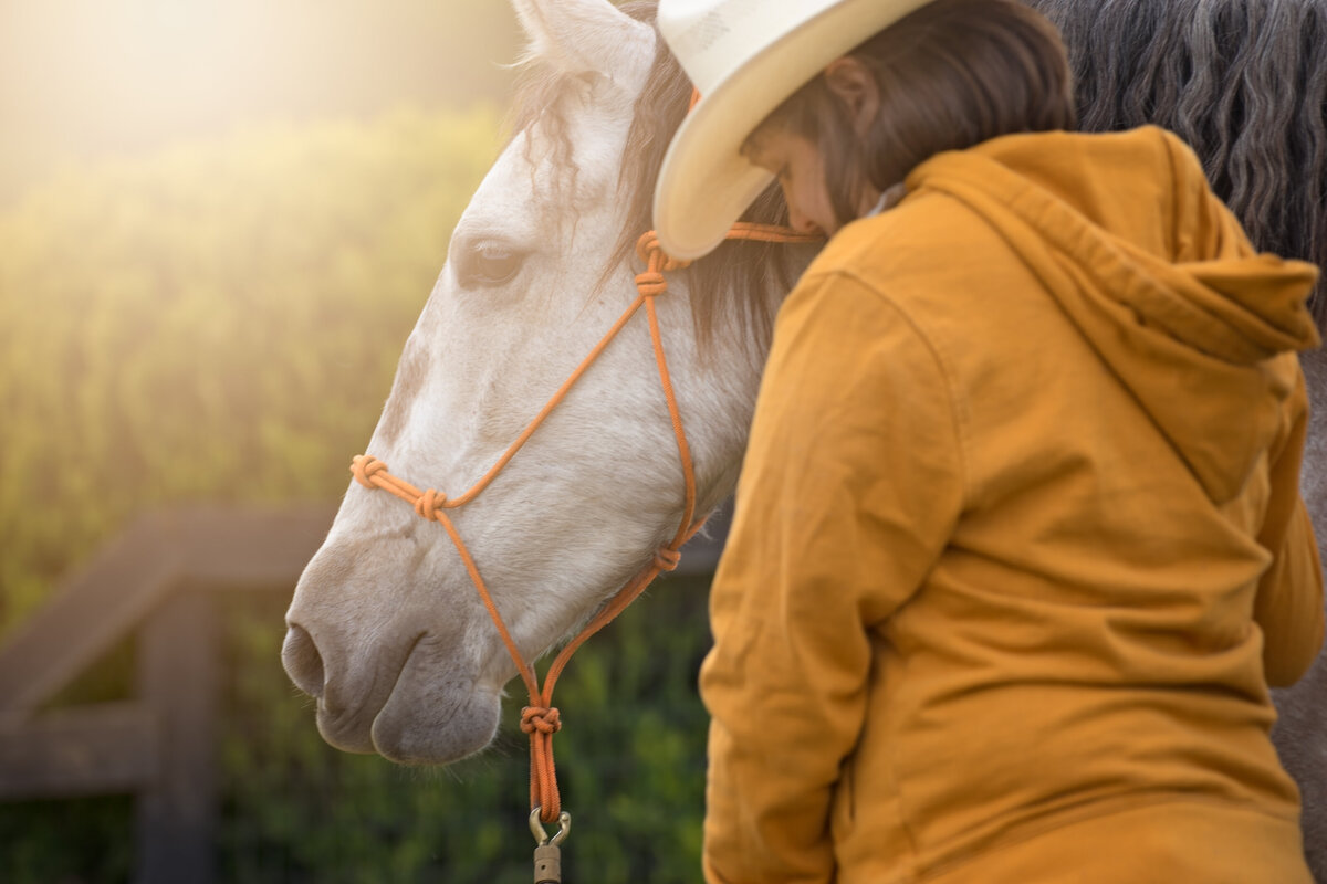 Equestrian-226