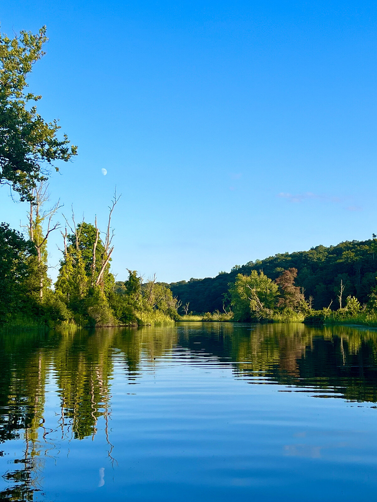 CCC_Estuary_97