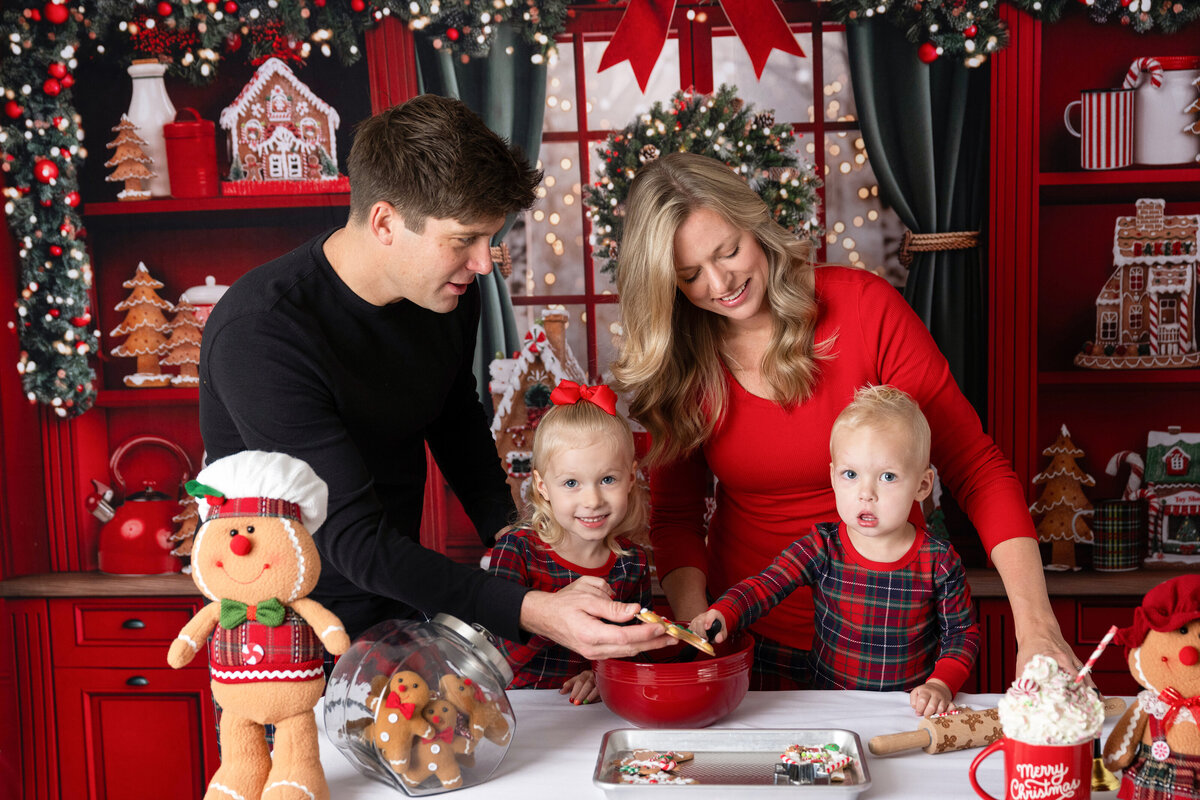 Chicago-Family-Photographer-15 copy 2