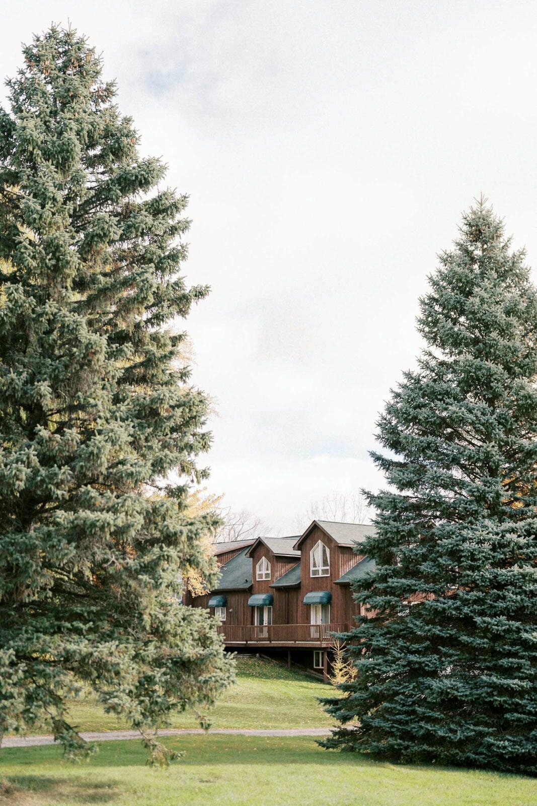 W11-Wedding-Photos-Caledon-Valley-Estate-Eleanor-and-Michael-2024-11-02-2500px-1051