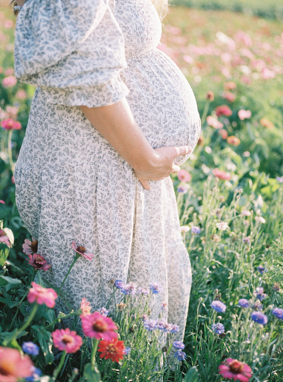 maternity photographer richmond va 7