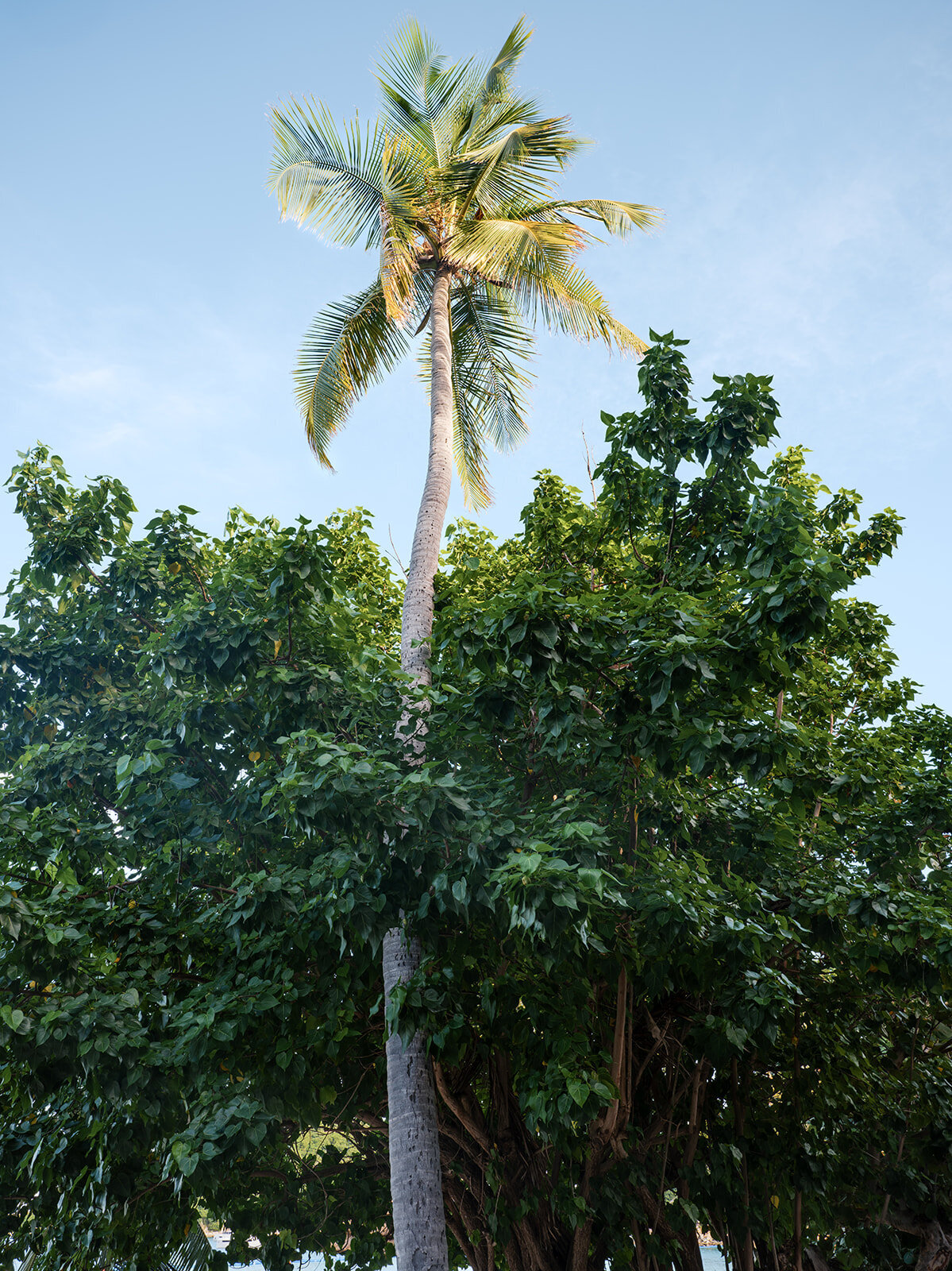 Peter Island-138