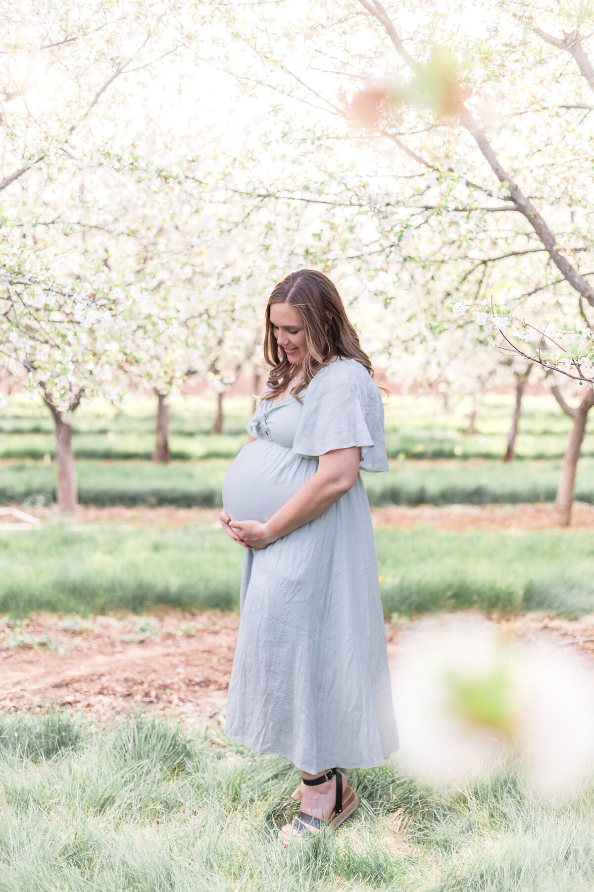 Outdoor maternity photography session in Utah orchard capturing expecting mother in golden light captured by a Provo Utah Maternity Photographer.