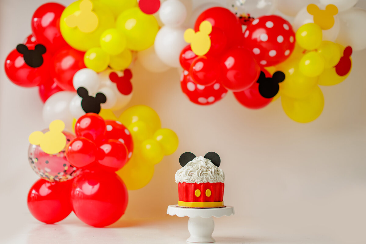 Huntsville AL Cake Smash Photographer