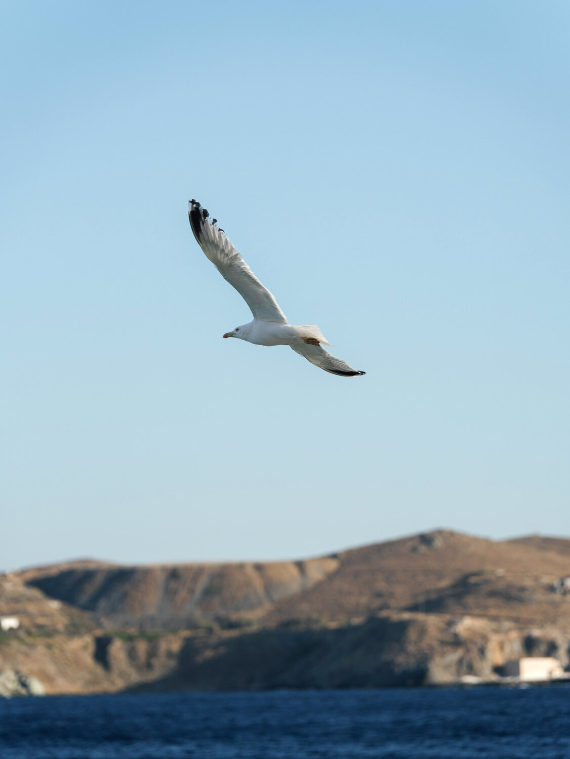 Elegant-Syros-Wedding-Ploes-Ciel-089